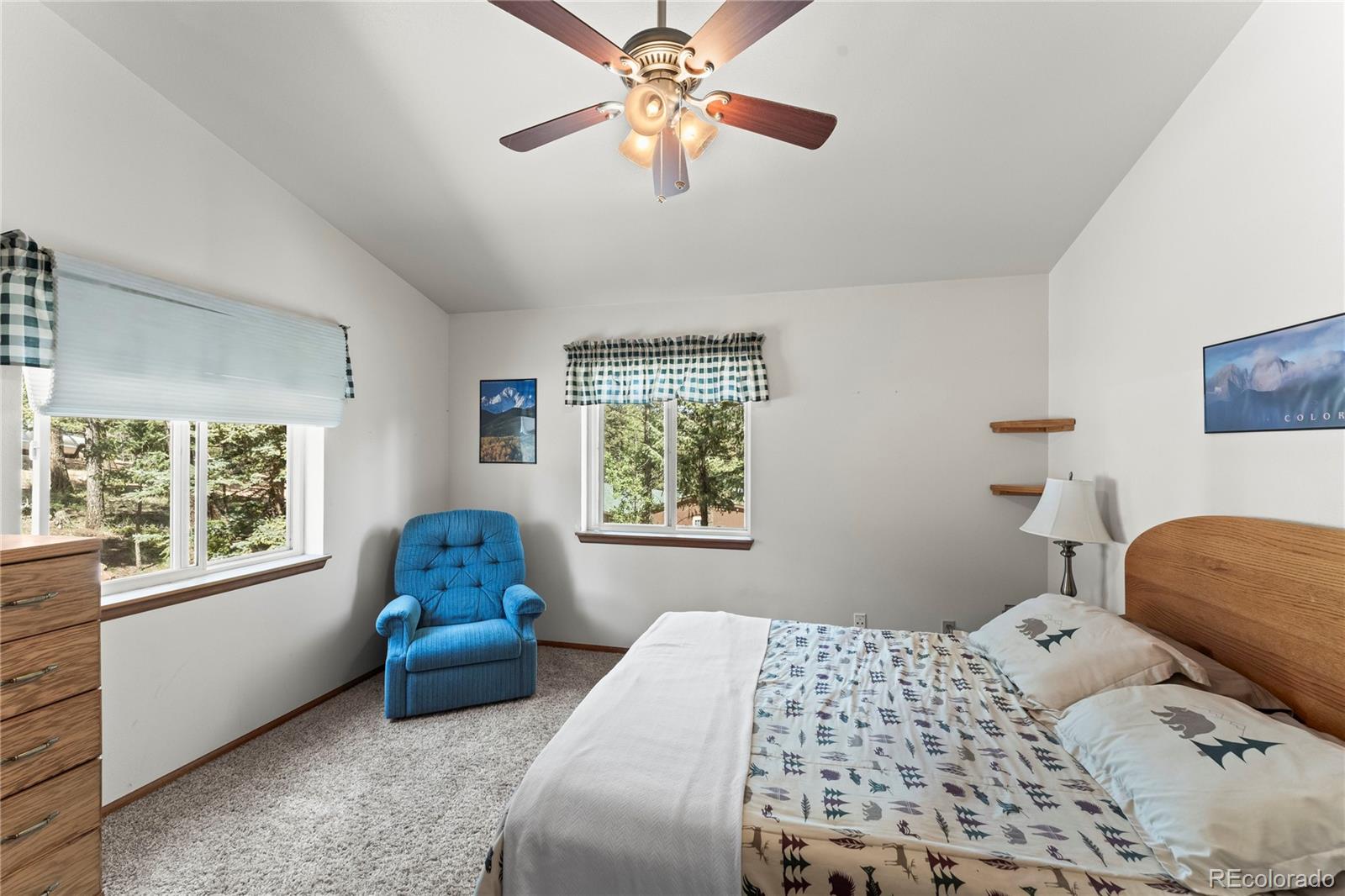 MLS Image #21 for 485  donzi trail,florissant, Colorado