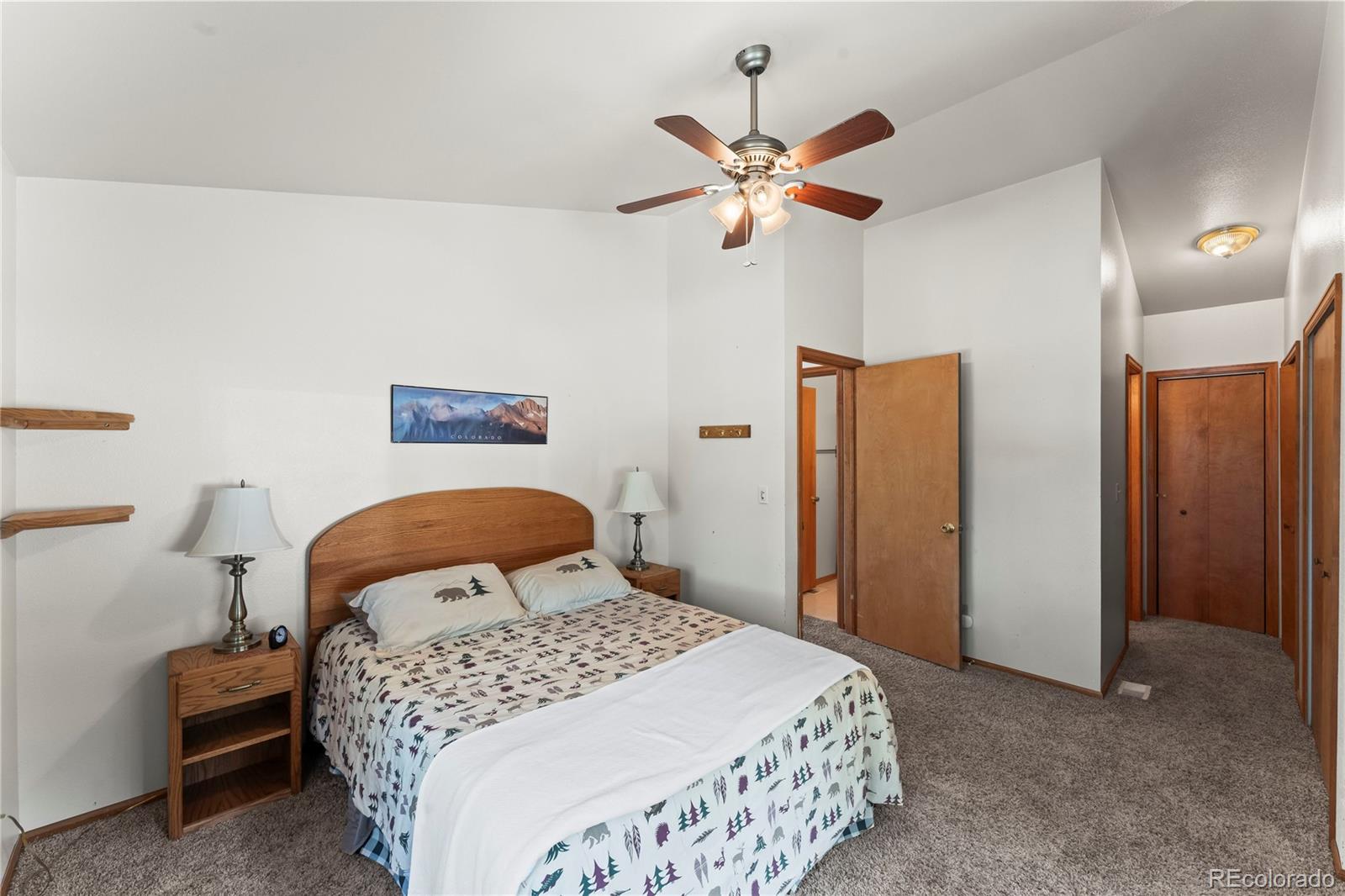 MLS Image #22 for 485  donzi trail,florissant, Colorado