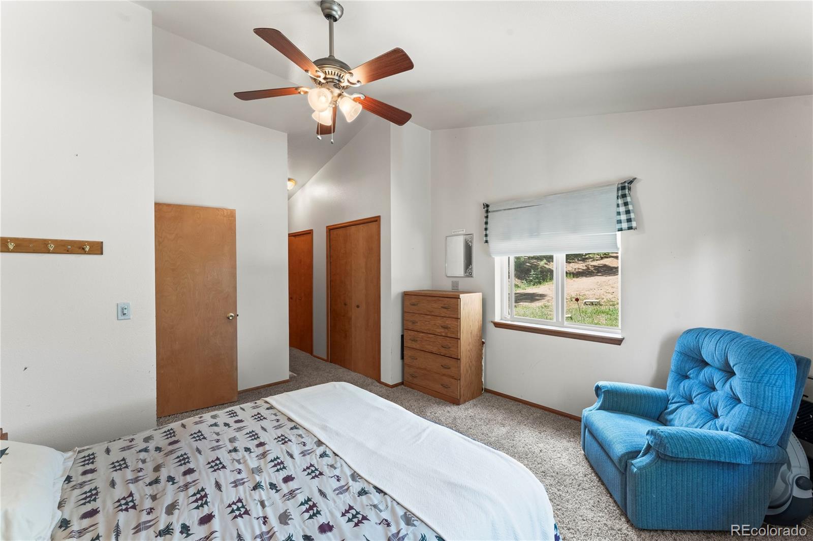 MLS Image #23 for 485  donzi trail,florissant, Colorado