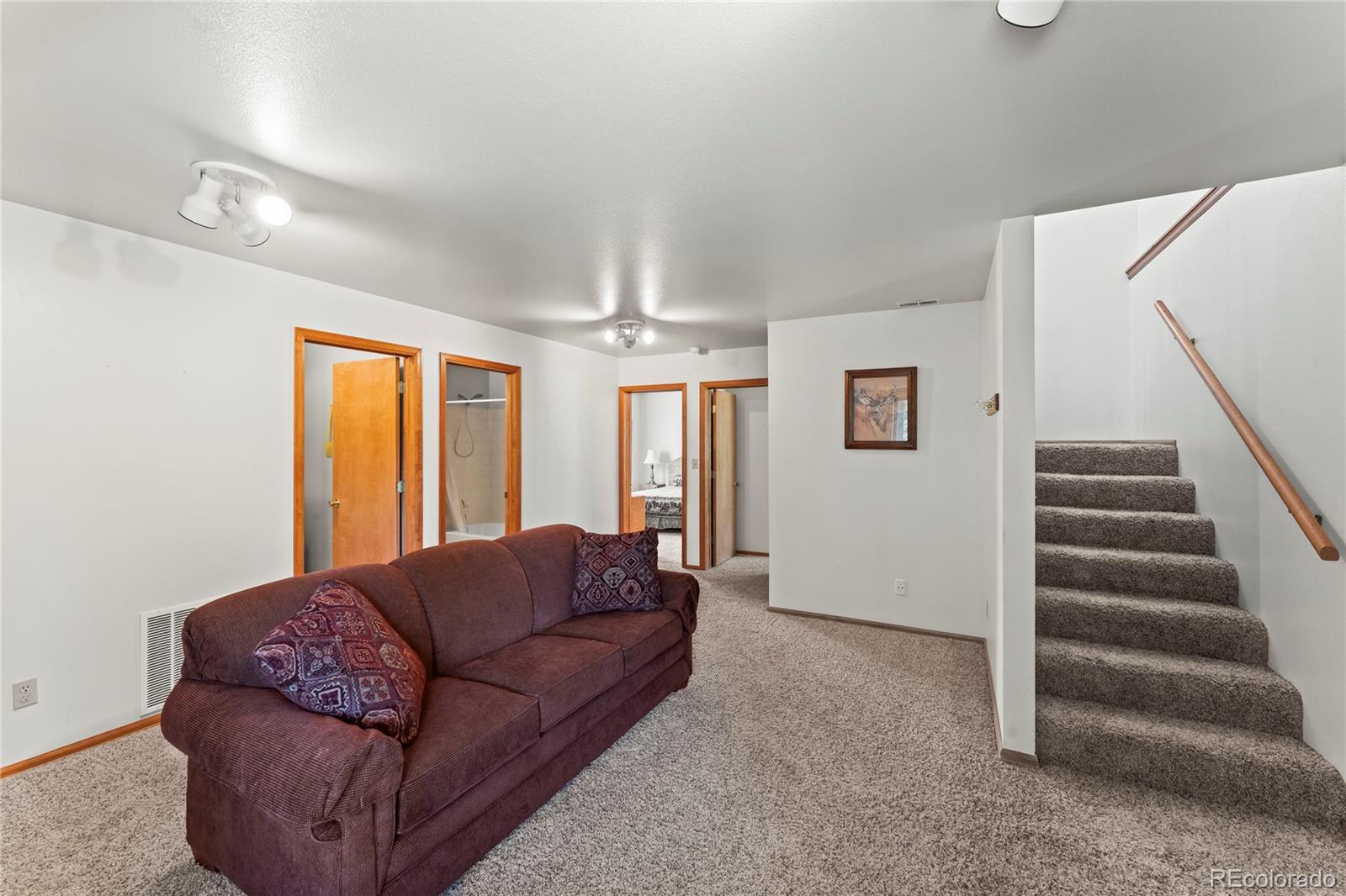 MLS Image #24 for 485  donzi trail,florissant, Colorado