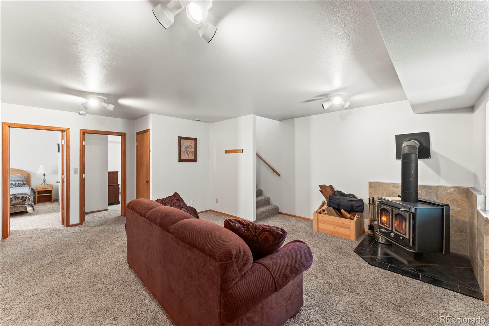 MLS Image #25 for 485  donzi trail,florissant, Colorado