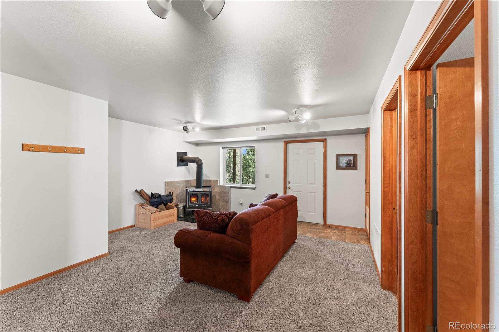 MLS Image #26 for 485  donzi trail,florissant, Colorado