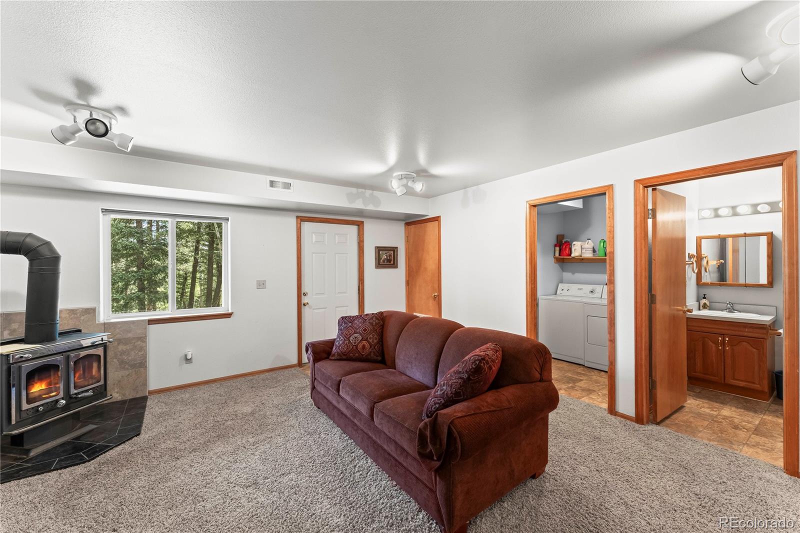 MLS Image #27 for 485  donzi trail,florissant, Colorado