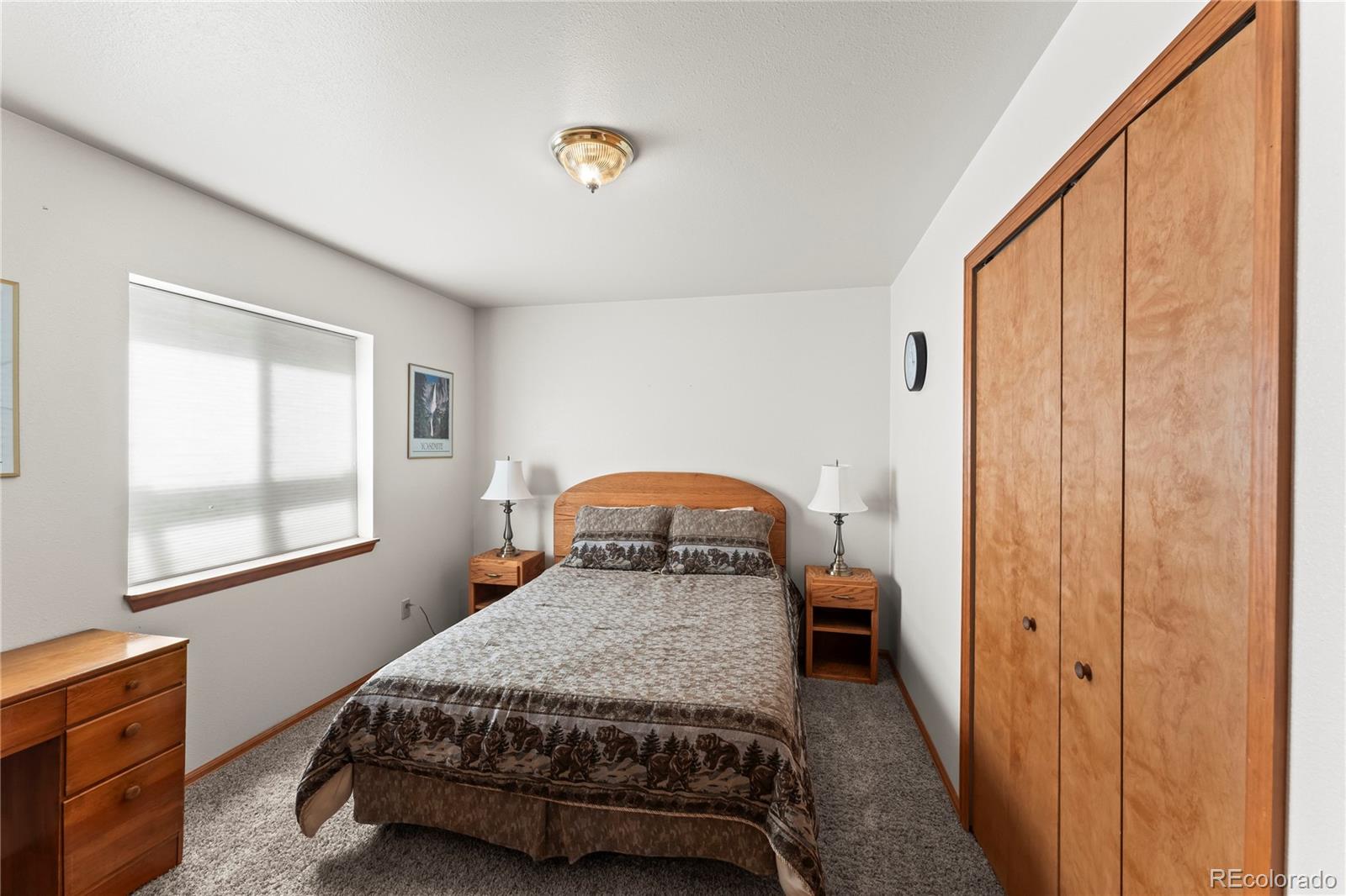 MLS Image #29 for 485  donzi trail,florissant, Colorado