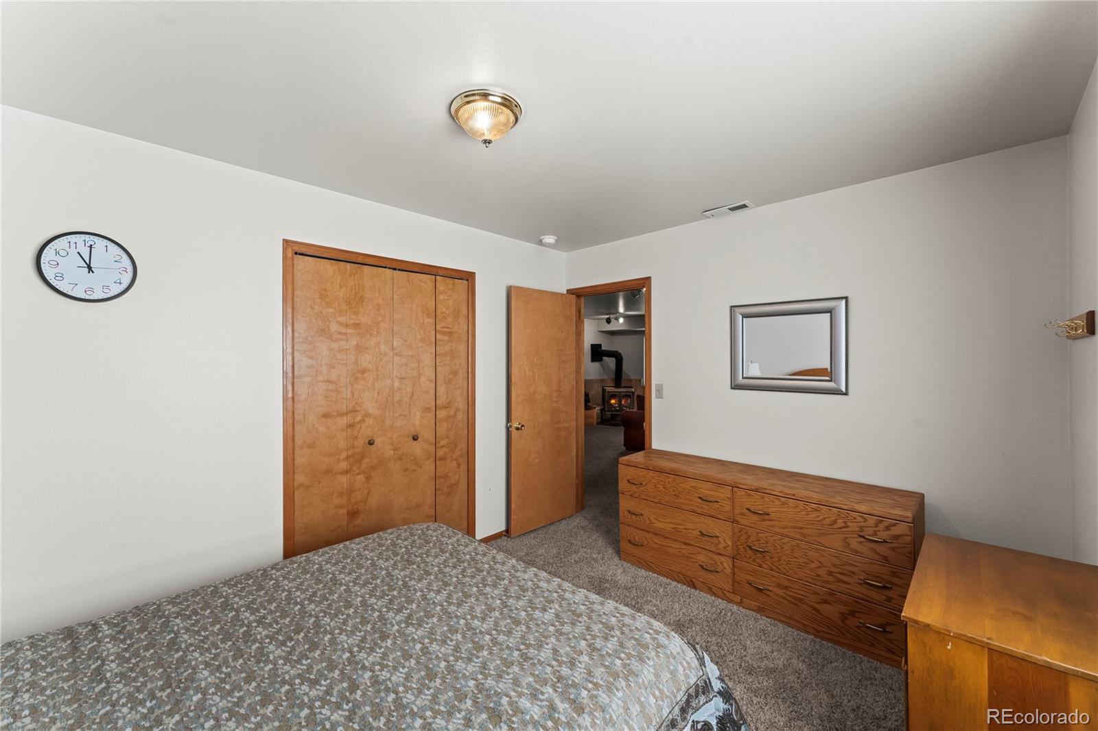 MLS Image #30 for 485  donzi trail,florissant, Colorado