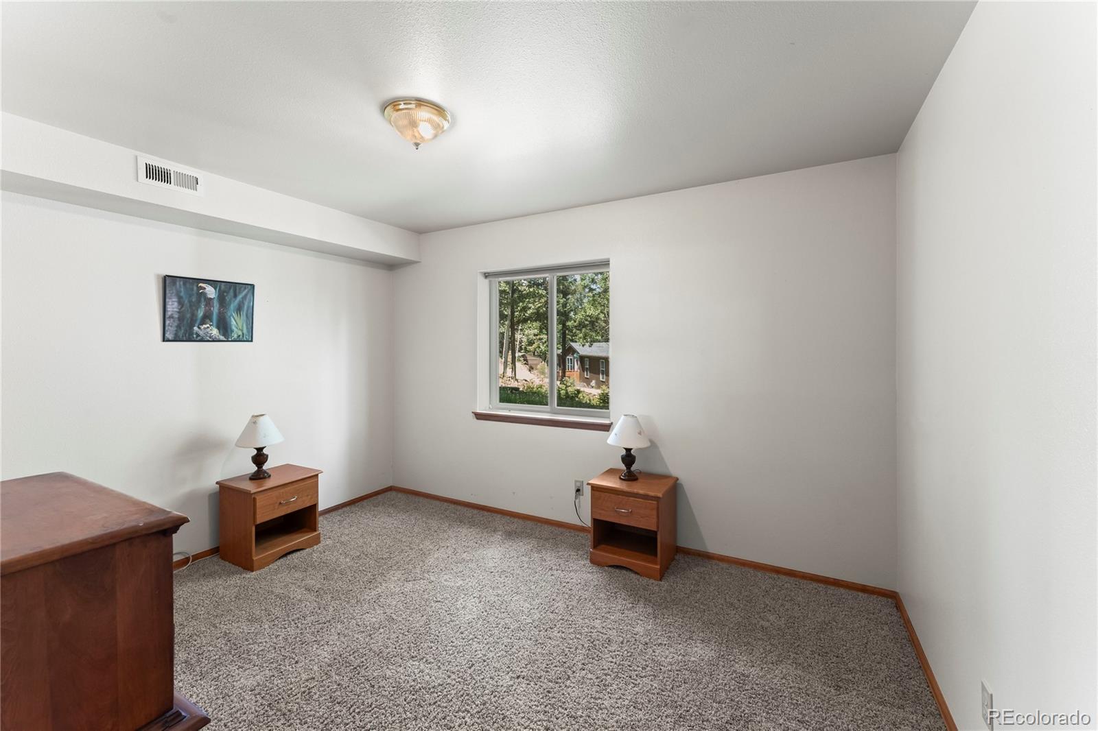 MLS Image #31 for 485  donzi trail,florissant, Colorado