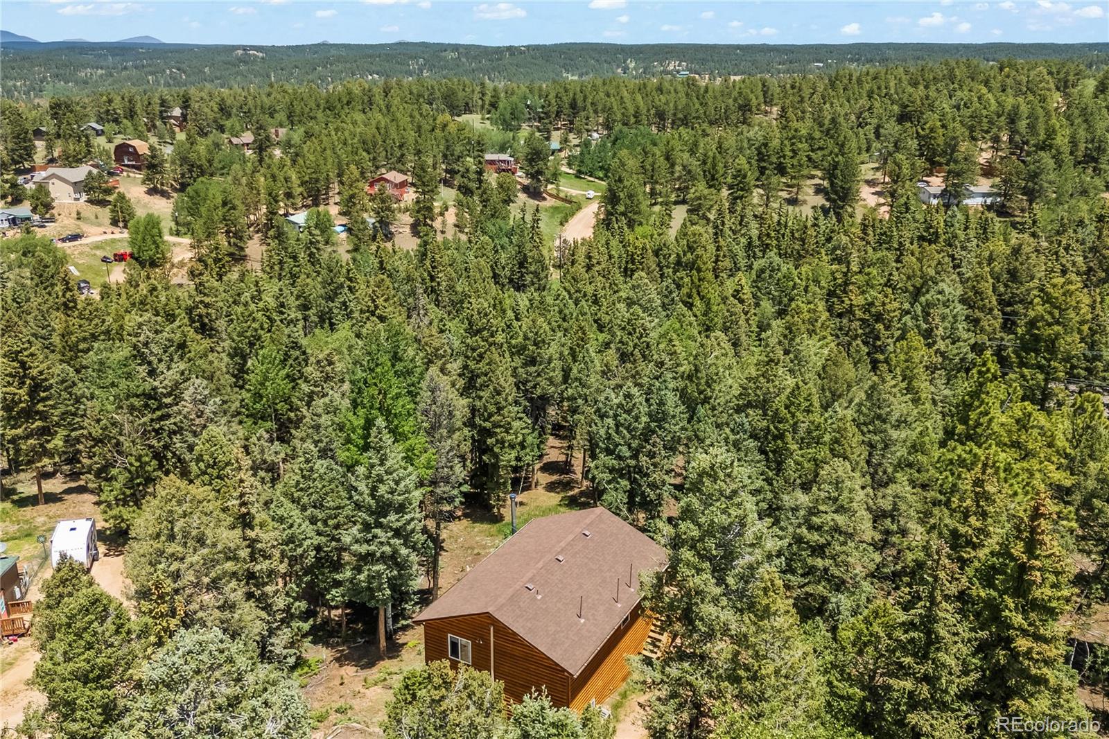MLS Image #4 for 485  donzi trail,florissant, Colorado