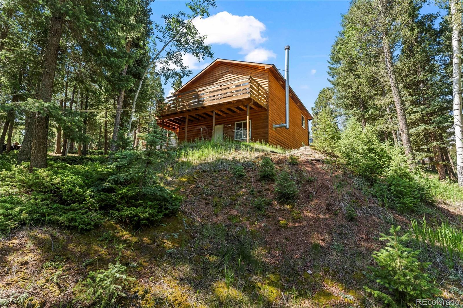 MLS Image #6 for 485  donzi trail,florissant, Colorado