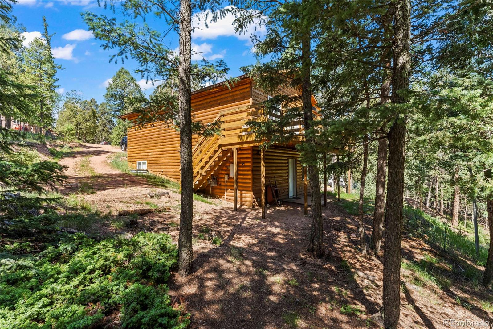 MLS Image #7 for 485  donzi trail,florissant, Colorado