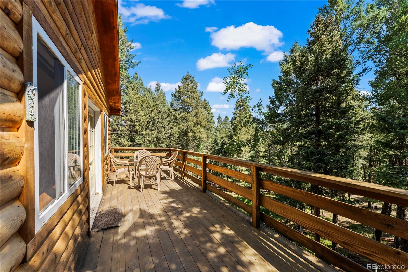 MLS Image #8 for 485  donzi trail,florissant, Colorado