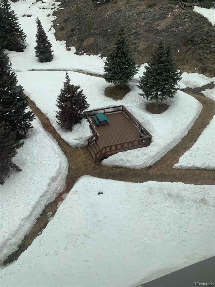 MLS Image #19 for 45  beeler place,copper mountain, Colorado