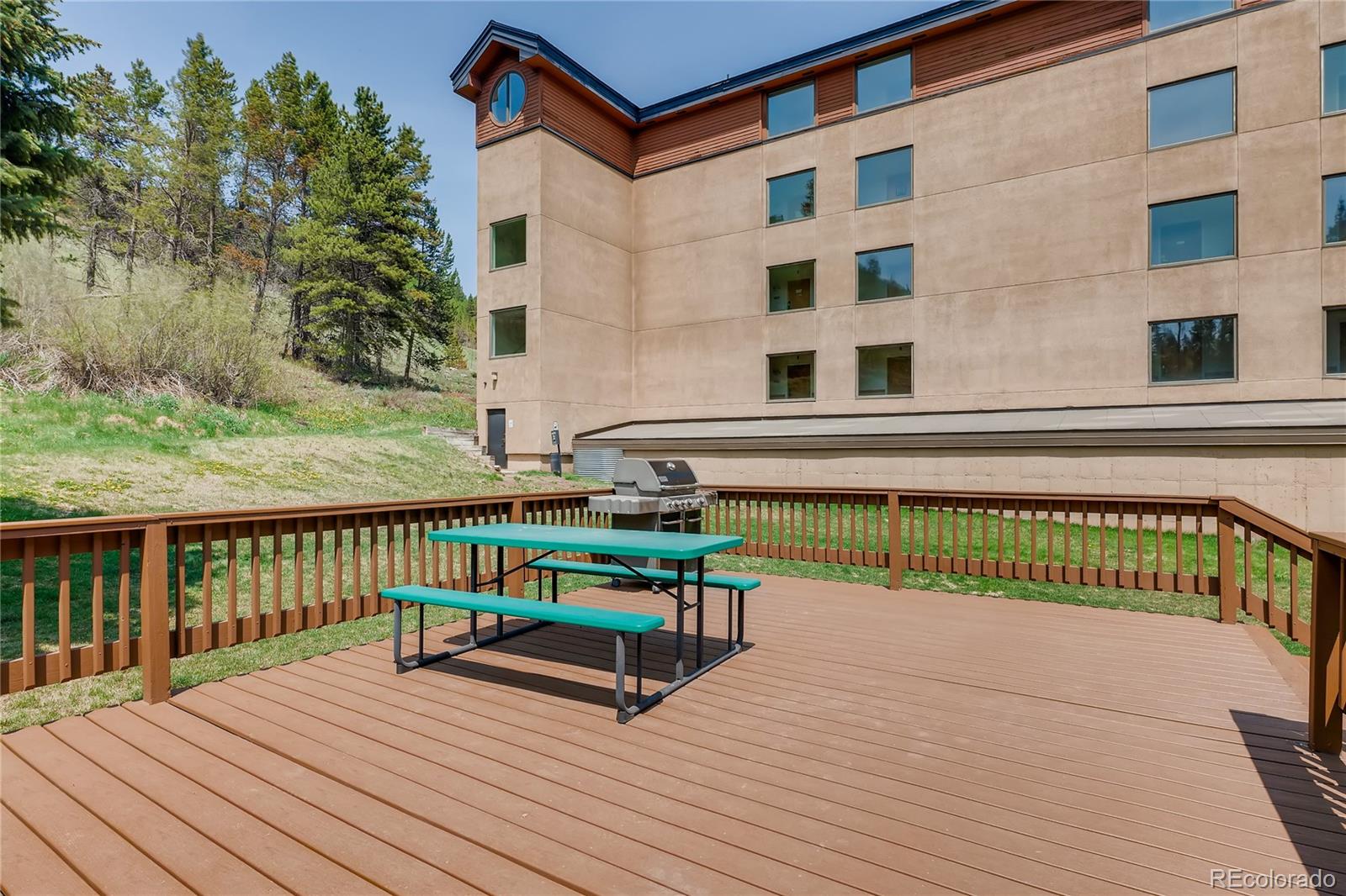 MLS Image #25 for 45  beeler place,copper mountain, Colorado