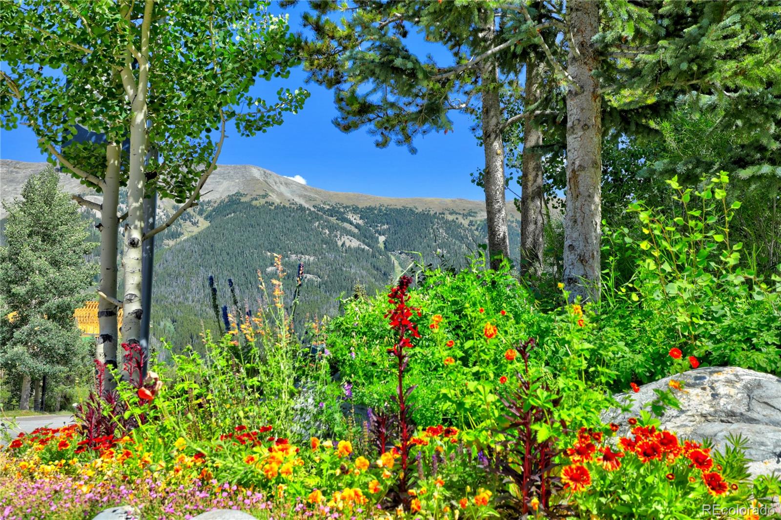 MLS Image #27 for 45  beeler place,copper mountain, Colorado
