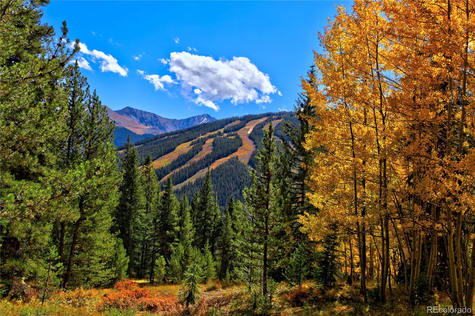 MLS Image #28 for 45  beeler place,copper mountain, Colorado