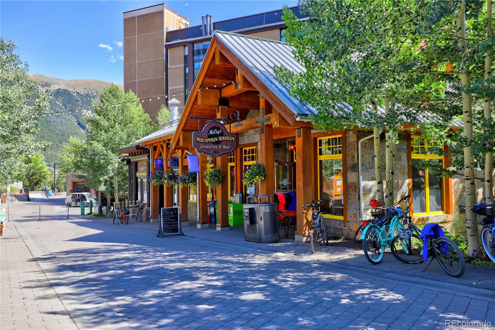 MLS Image #29 for 45  beeler place,copper mountain, Colorado