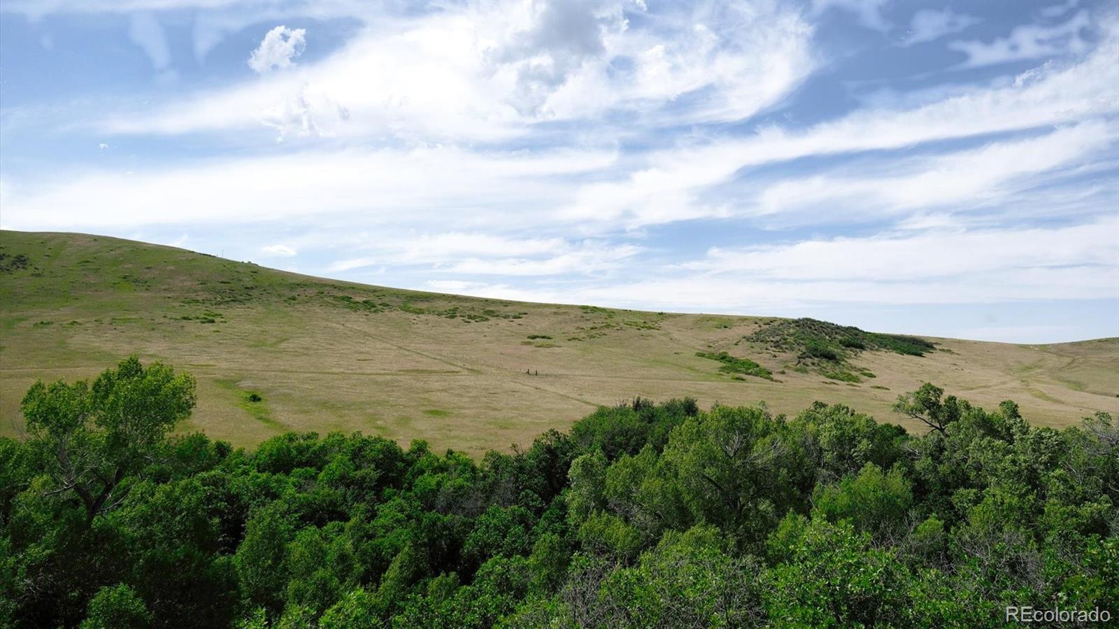 MLS Image #12 for 7490  apache way,sedalia, Colorado