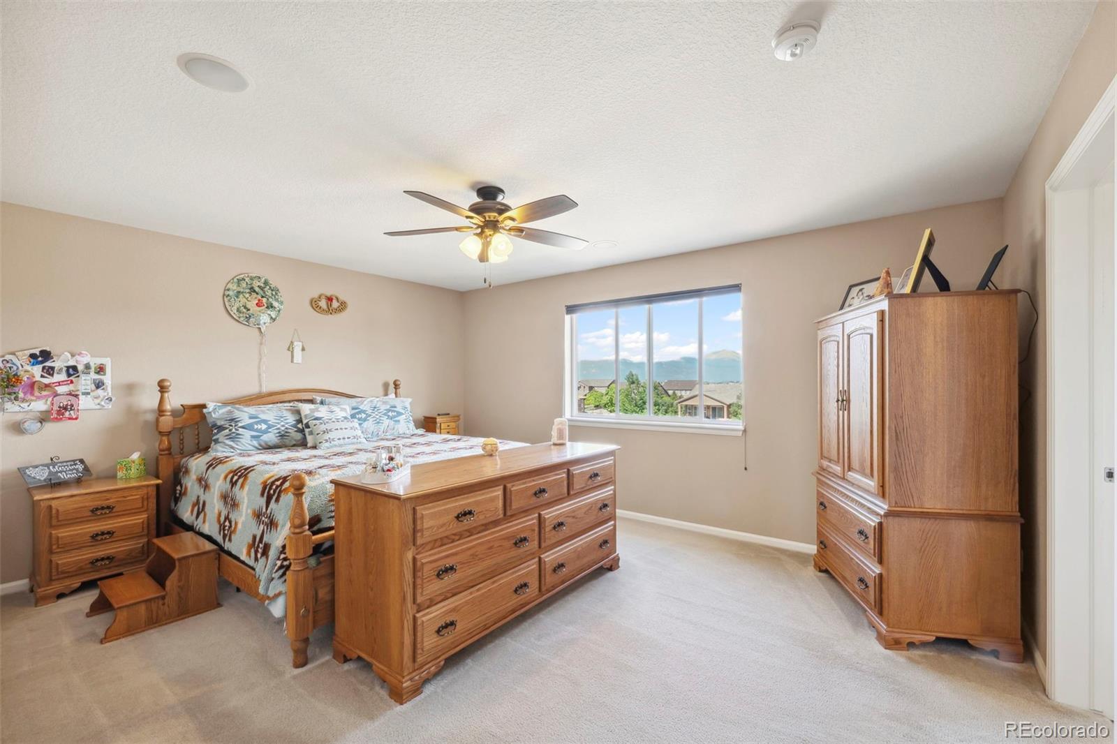 MLS Image #16 for 6612  big leaf lane,colorado springs, Colorado