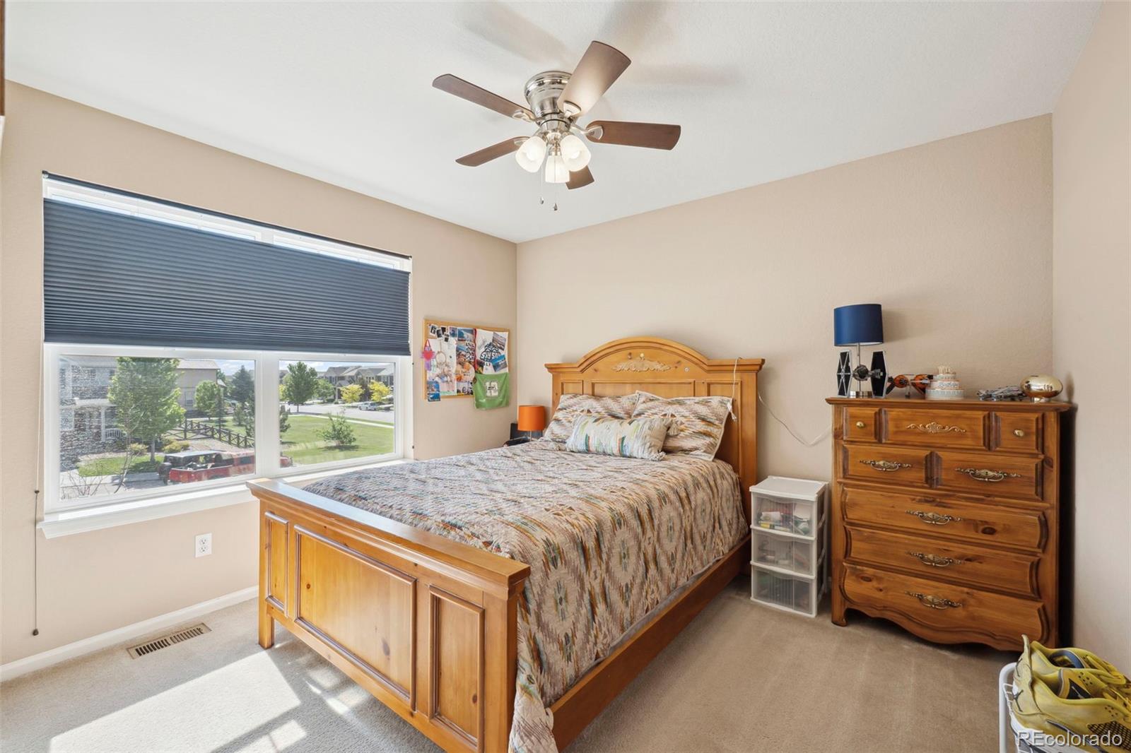 MLS Image #20 for 6612  big leaf lane,colorado springs, Colorado