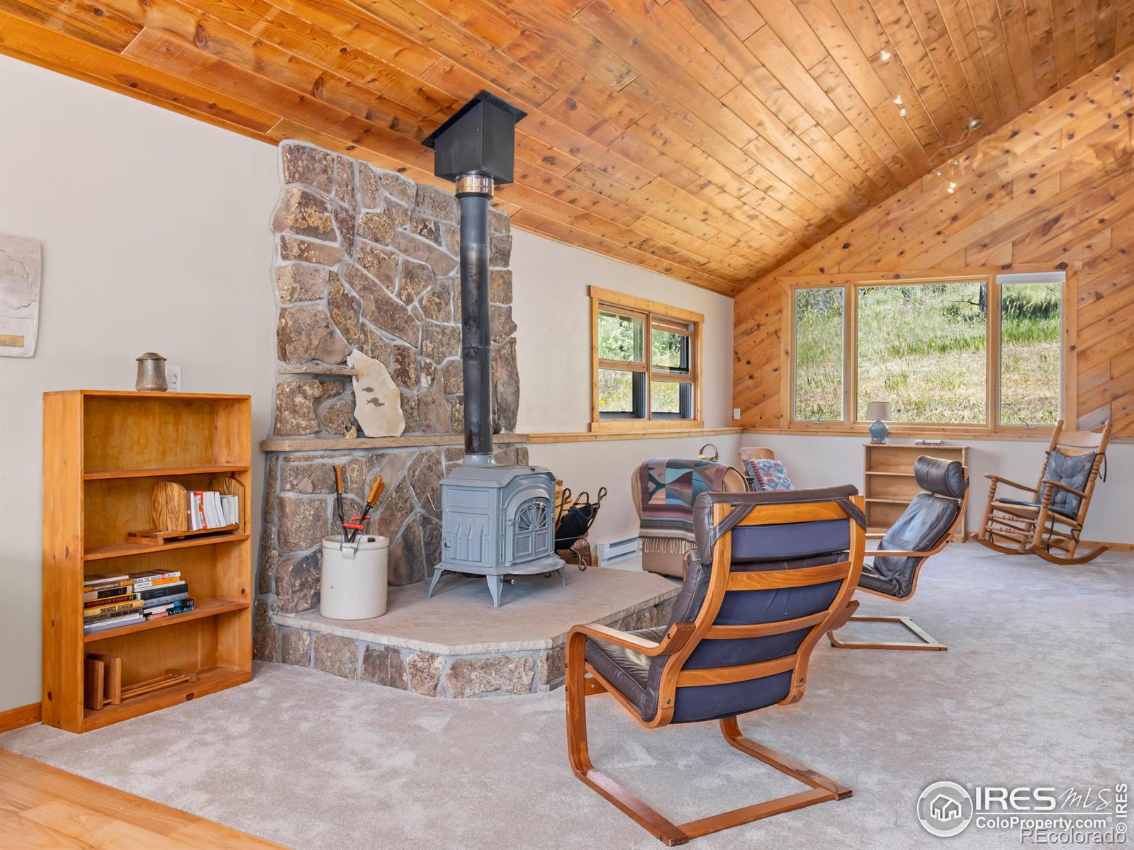 MLS Image #1 for 551  miller fork road,glen haven, Colorado