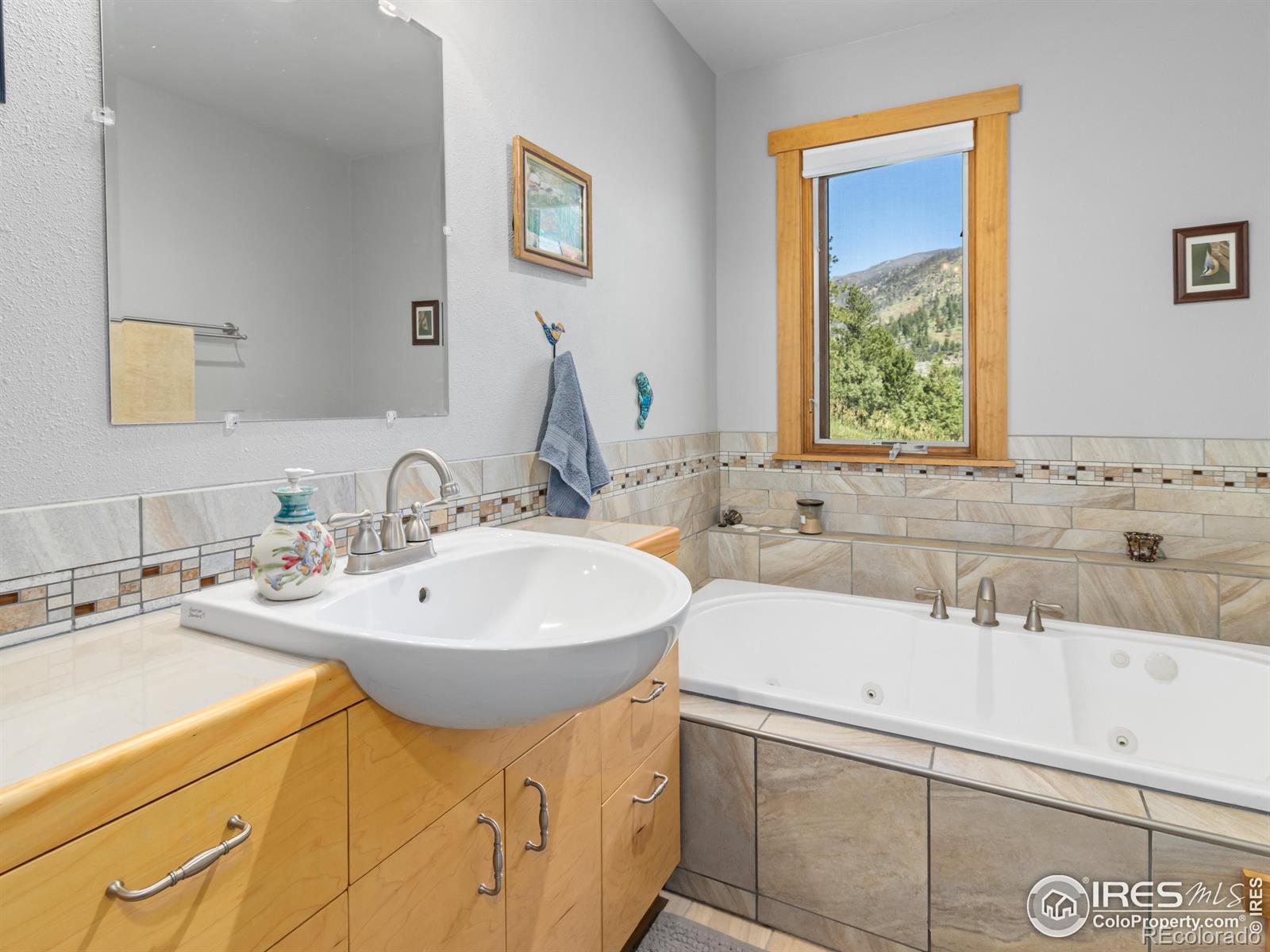 MLS Image #22 for 551  miller fork road,glen haven, Colorado