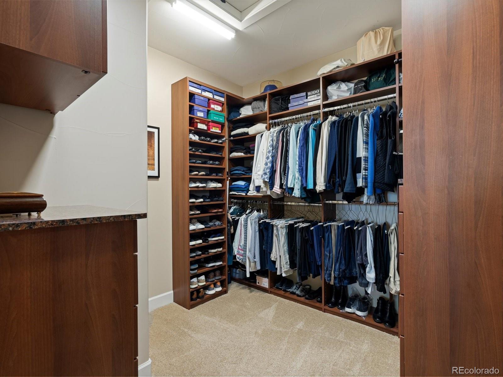 MLS Image #19 for 2363  primo road,highlands ranch, Colorado