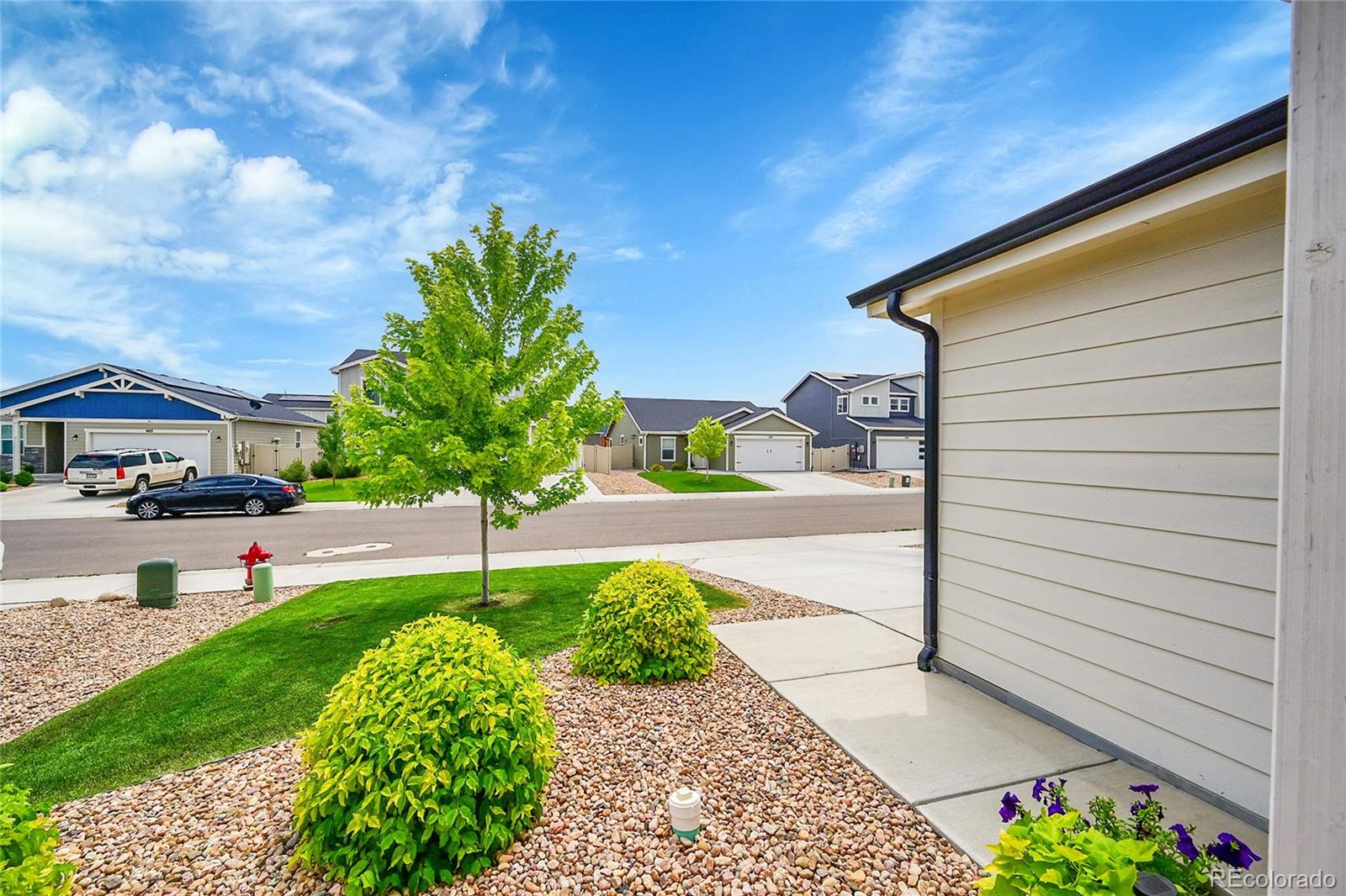 MLS Image #2 for 607  apex trail,ault, Colorado