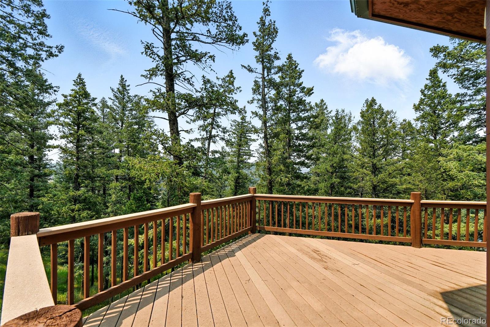 MLS Image #12 for 27805  mariposa road,evergreen, Colorado