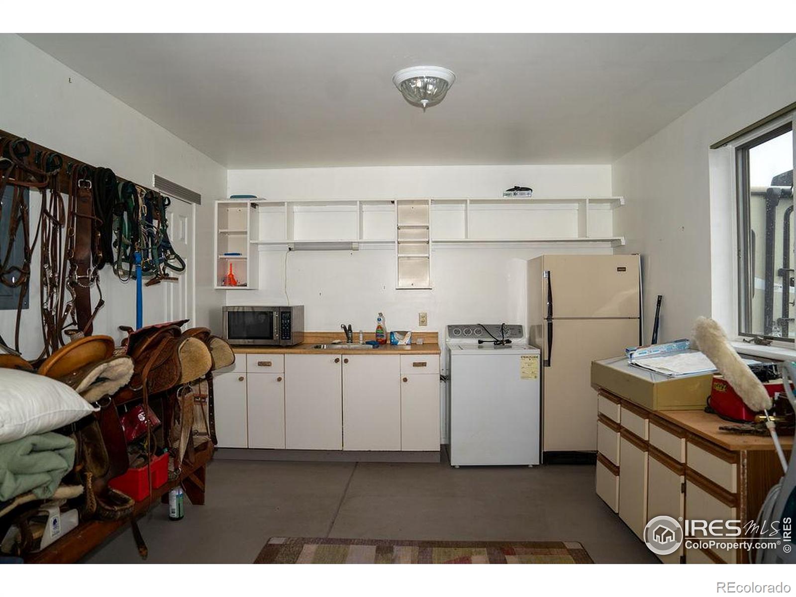 MLS Image #10 for 4616  lonetree drive,loveland, Colorado
