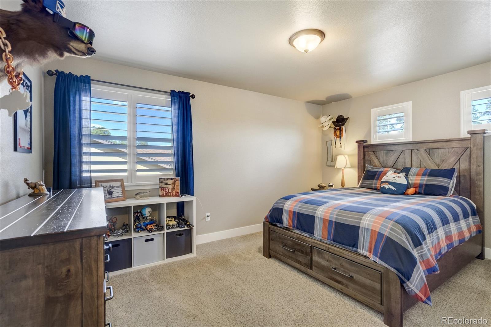 MLS Image #27 for 1716  catnap lane,monument, Colorado