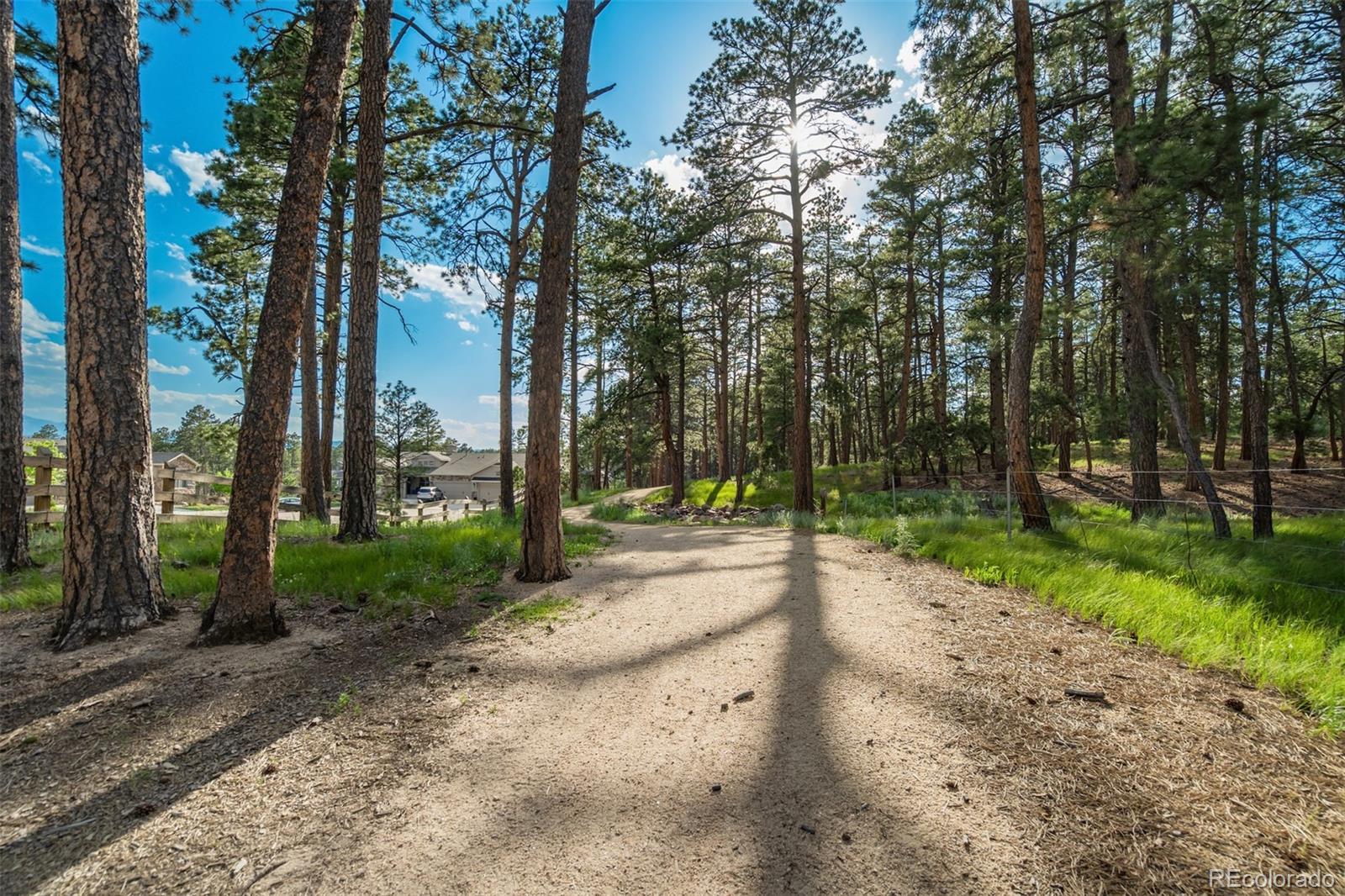 MLS Image #46 for 1716  catnap lane,monument, Colorado