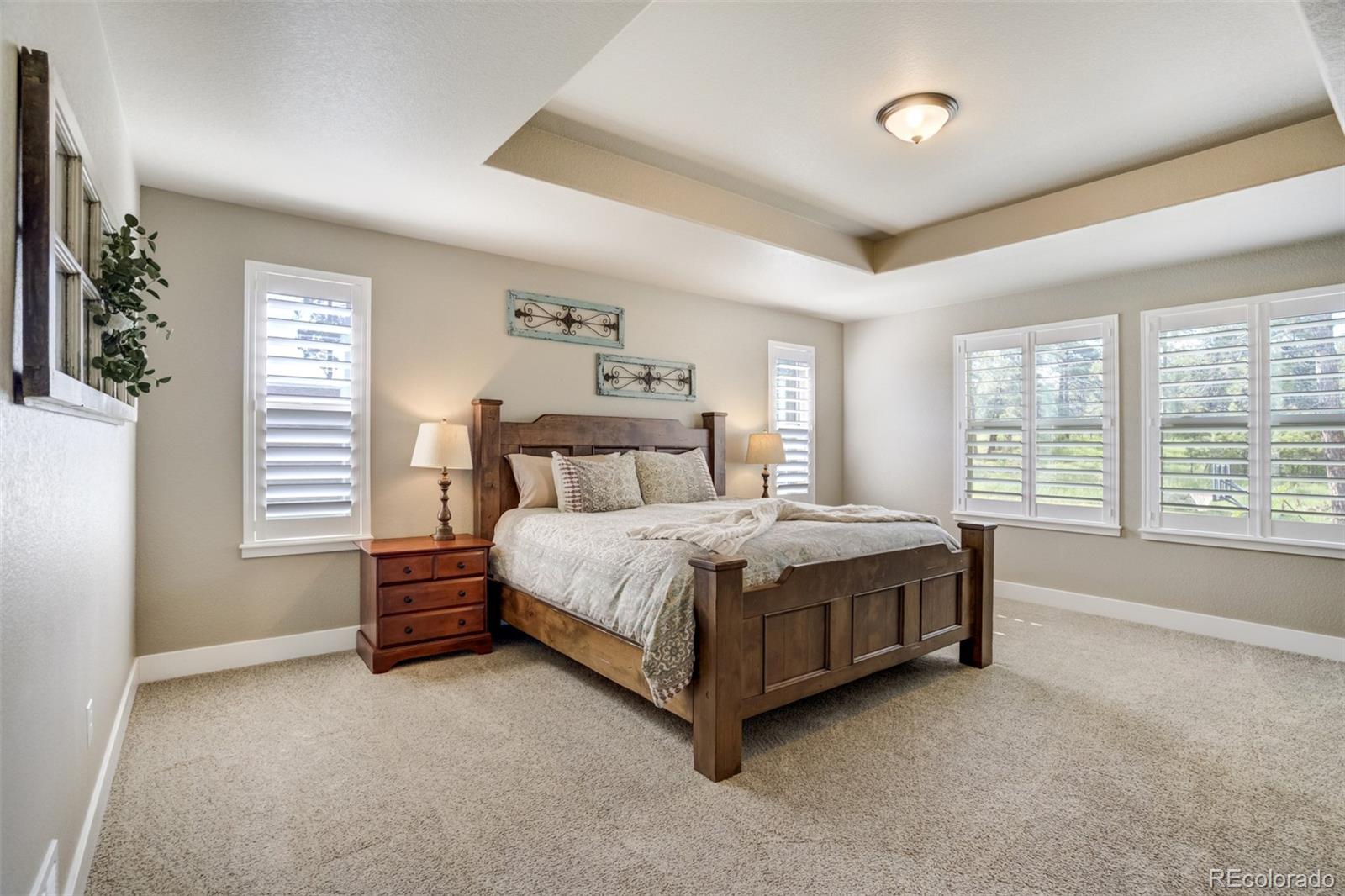 MLS Image #5 for 1716  catnap lane,monument, Colorado