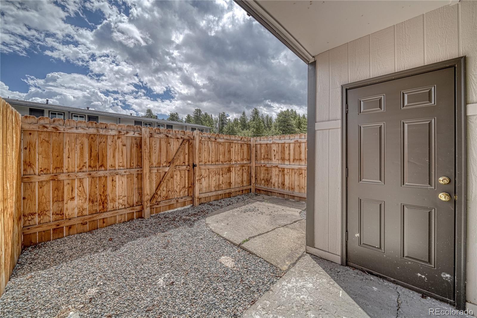 MLS Image #6 for 921  mt massive drive,leadville, Colorado