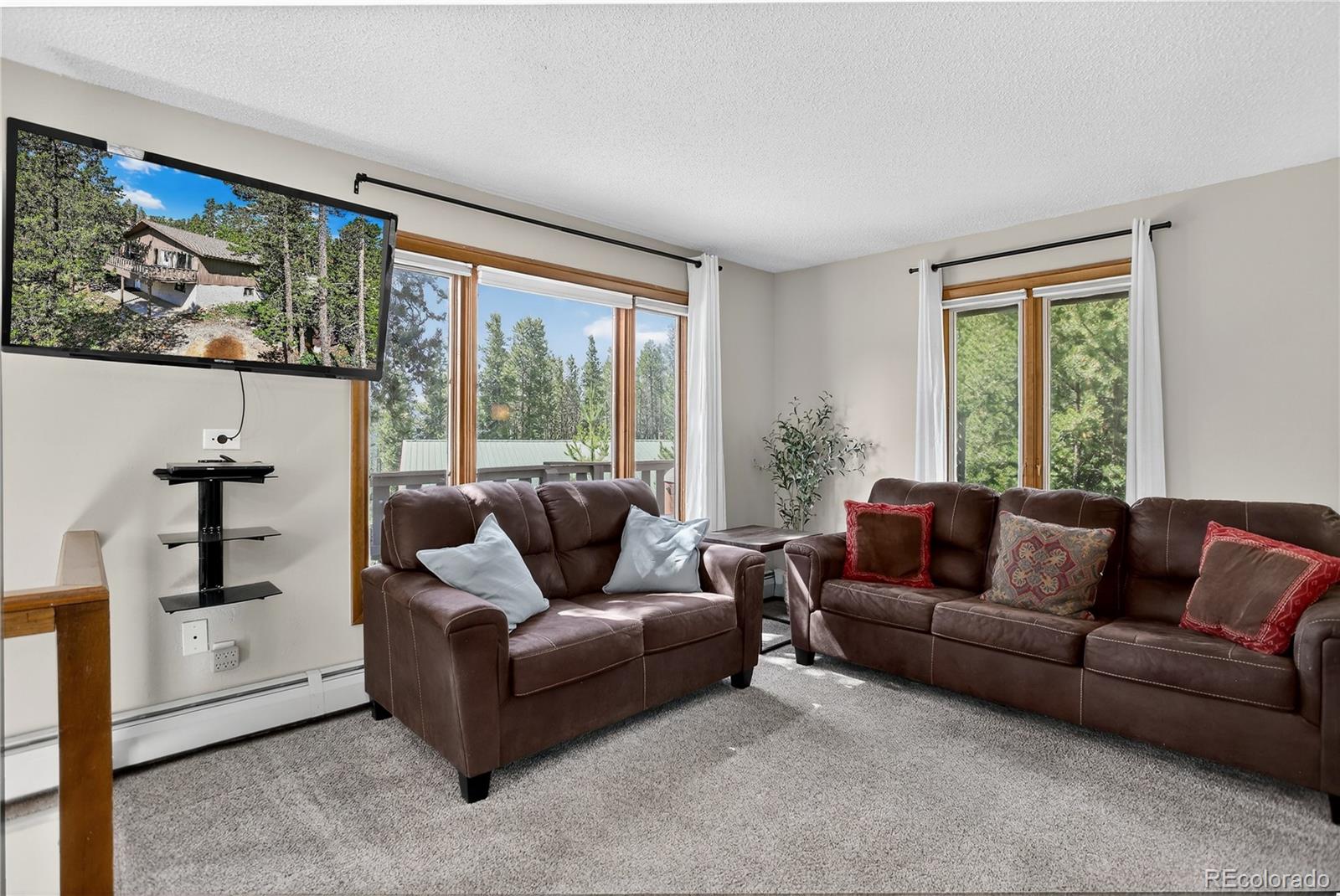 MLS Image #12 for 24  ski pole ,breckenridge, Colorado