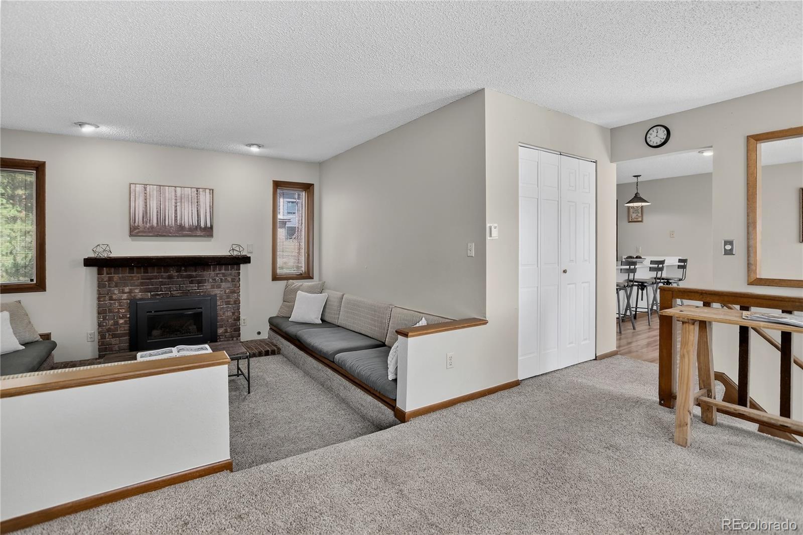 MLS Image #14 for 24  ski pole ,breckenridge, Colorado
