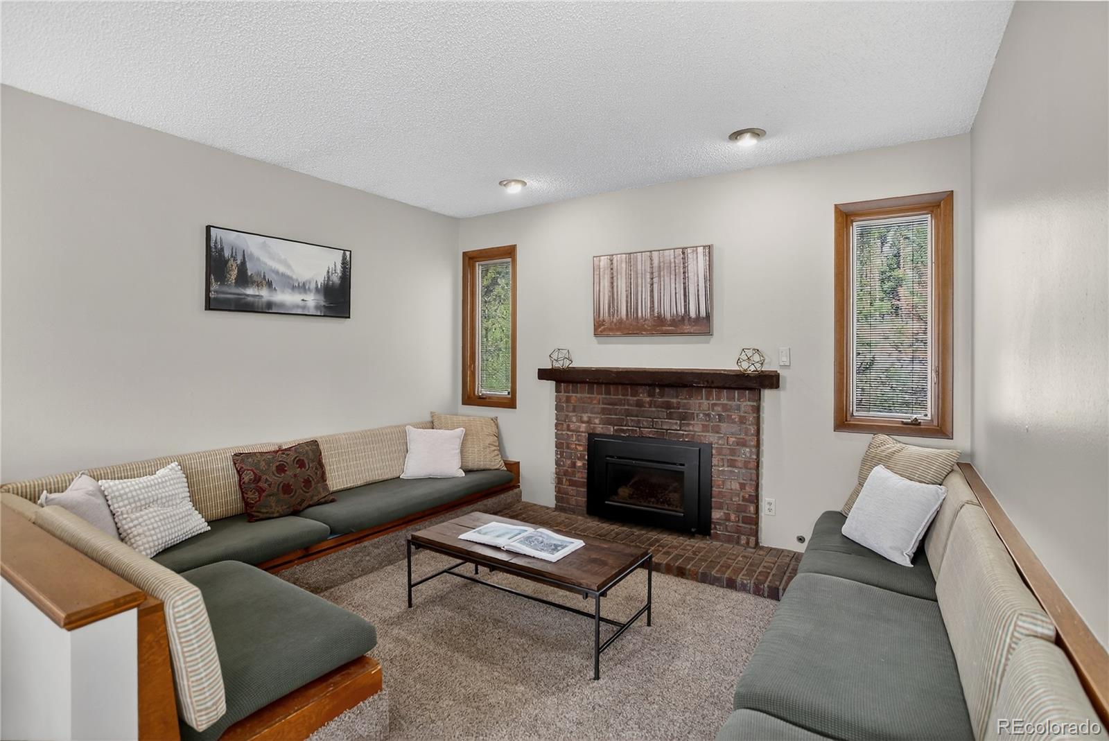 MLS Image #15 for 24  ski pole ,breckenridge, Colorado