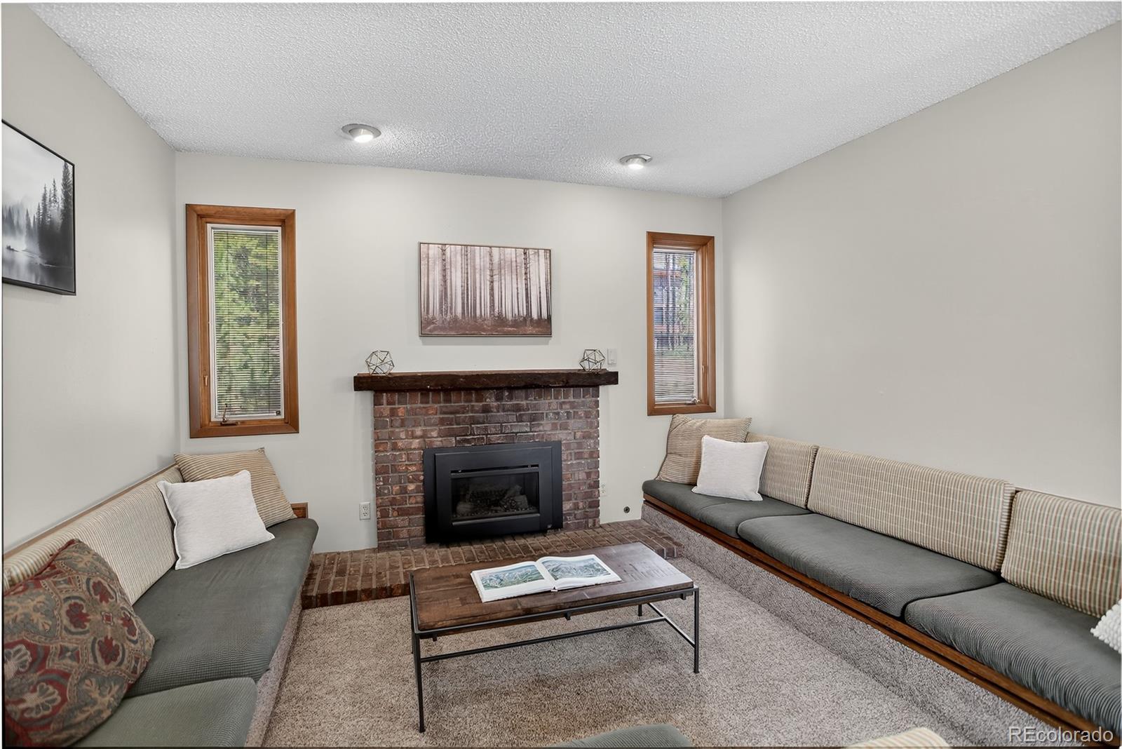 MLS Image #16 for 24  ski pole ,breckenridge, Colorado