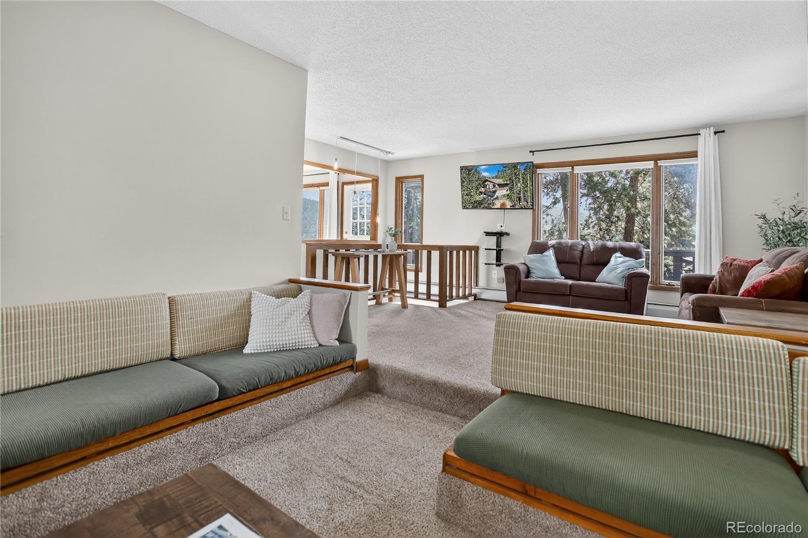 MLS Image #18 for 24  ski pole ,breckenridge, Colorado