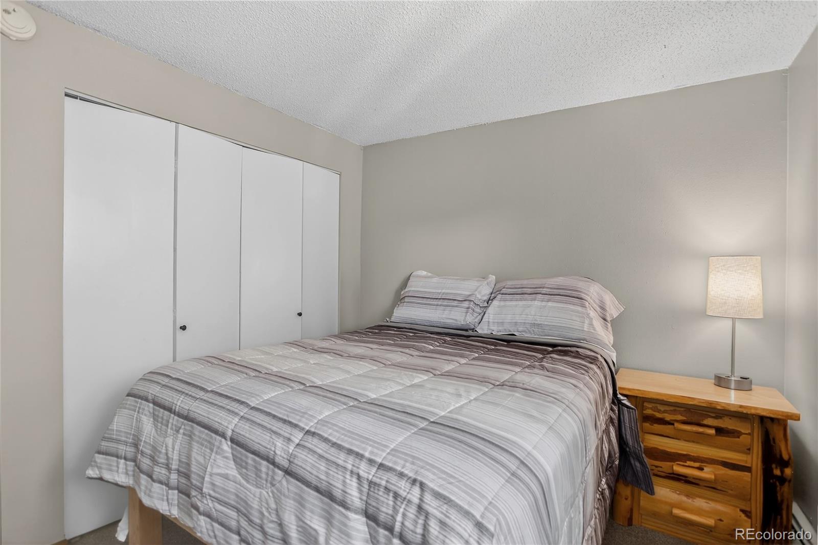 MLS Image #24 for 24  ski pole ,breckenridge, Colorado
