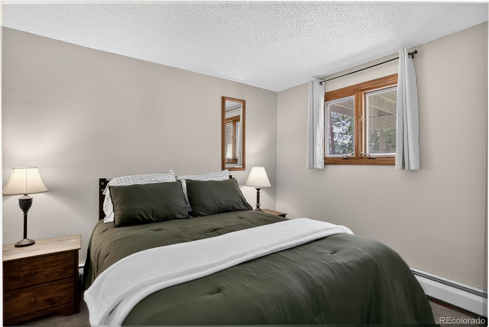 MLS Image #25 for 24  ski pole ,breckenridge, Colorado