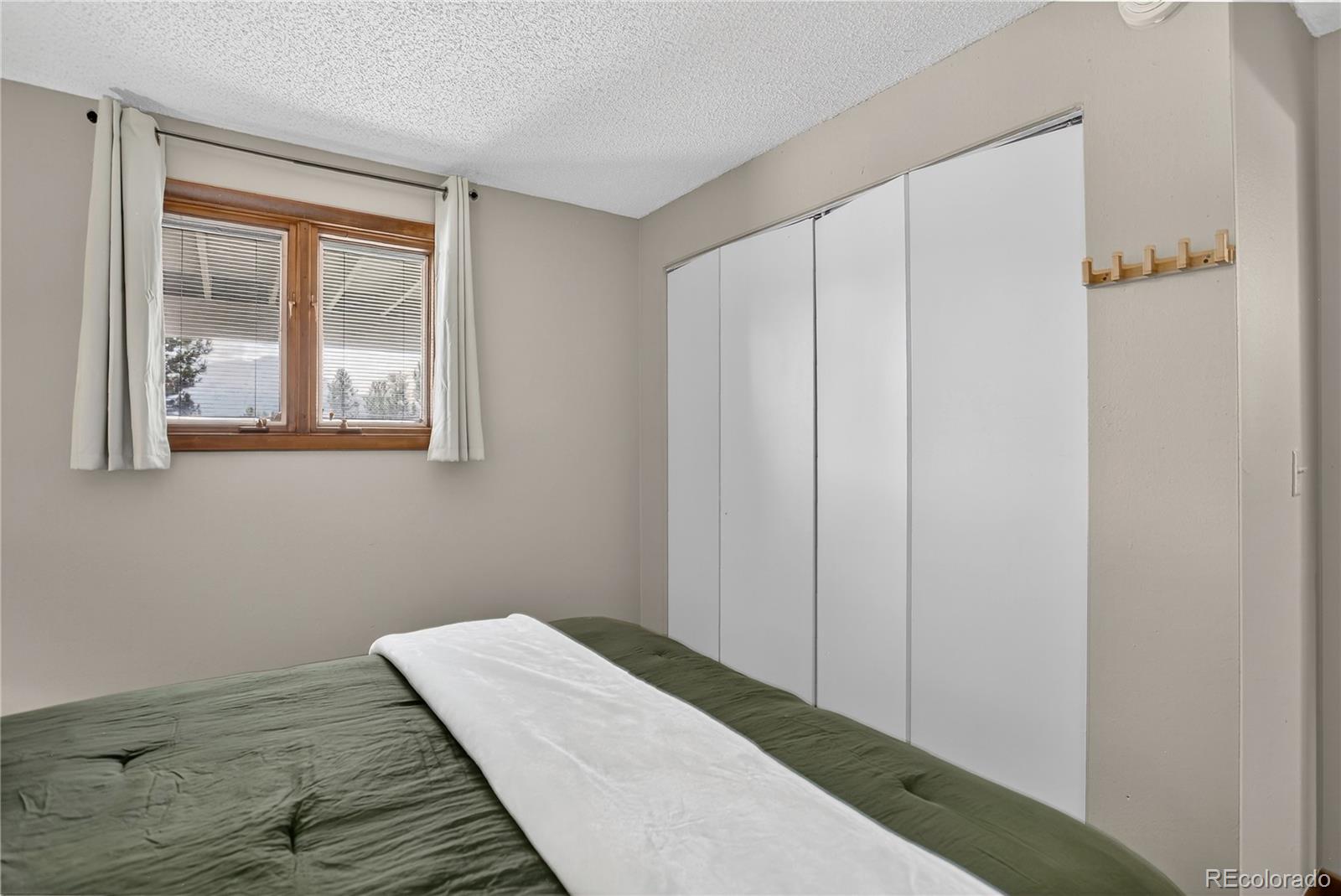 MLS Image #26 for 24  ski pole ,breckenridge, Colorado