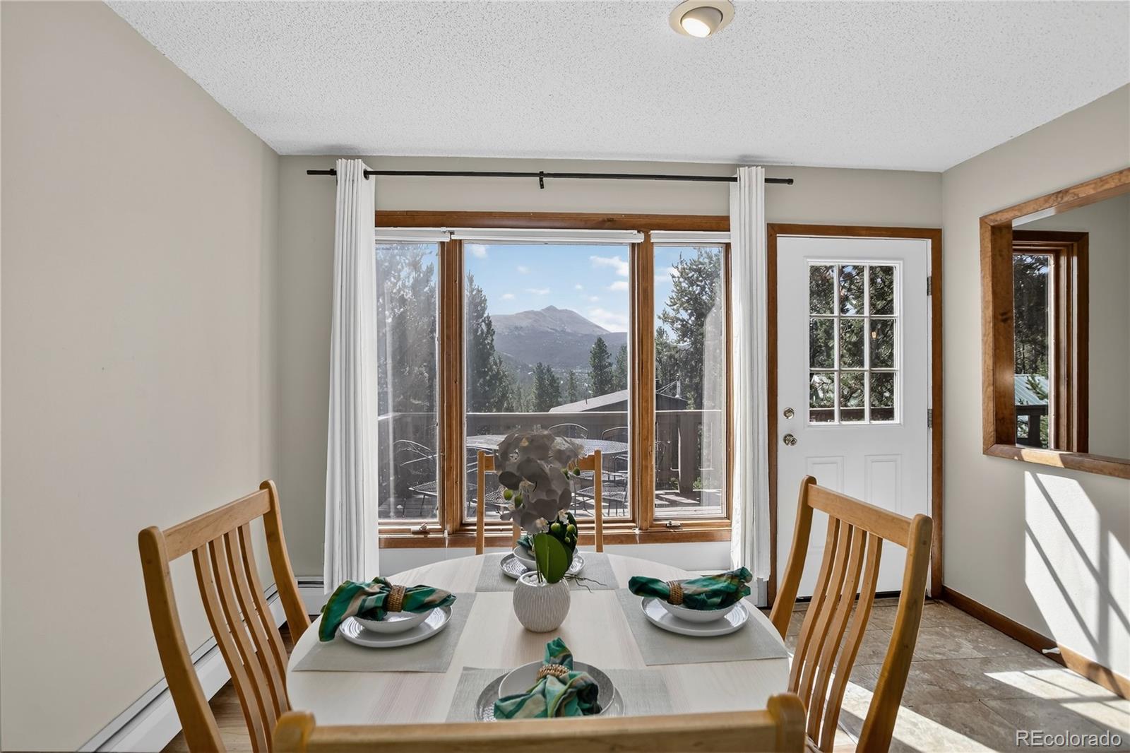 MLS Image #3 for 24  ski pole ,breckenridge, Colorado
