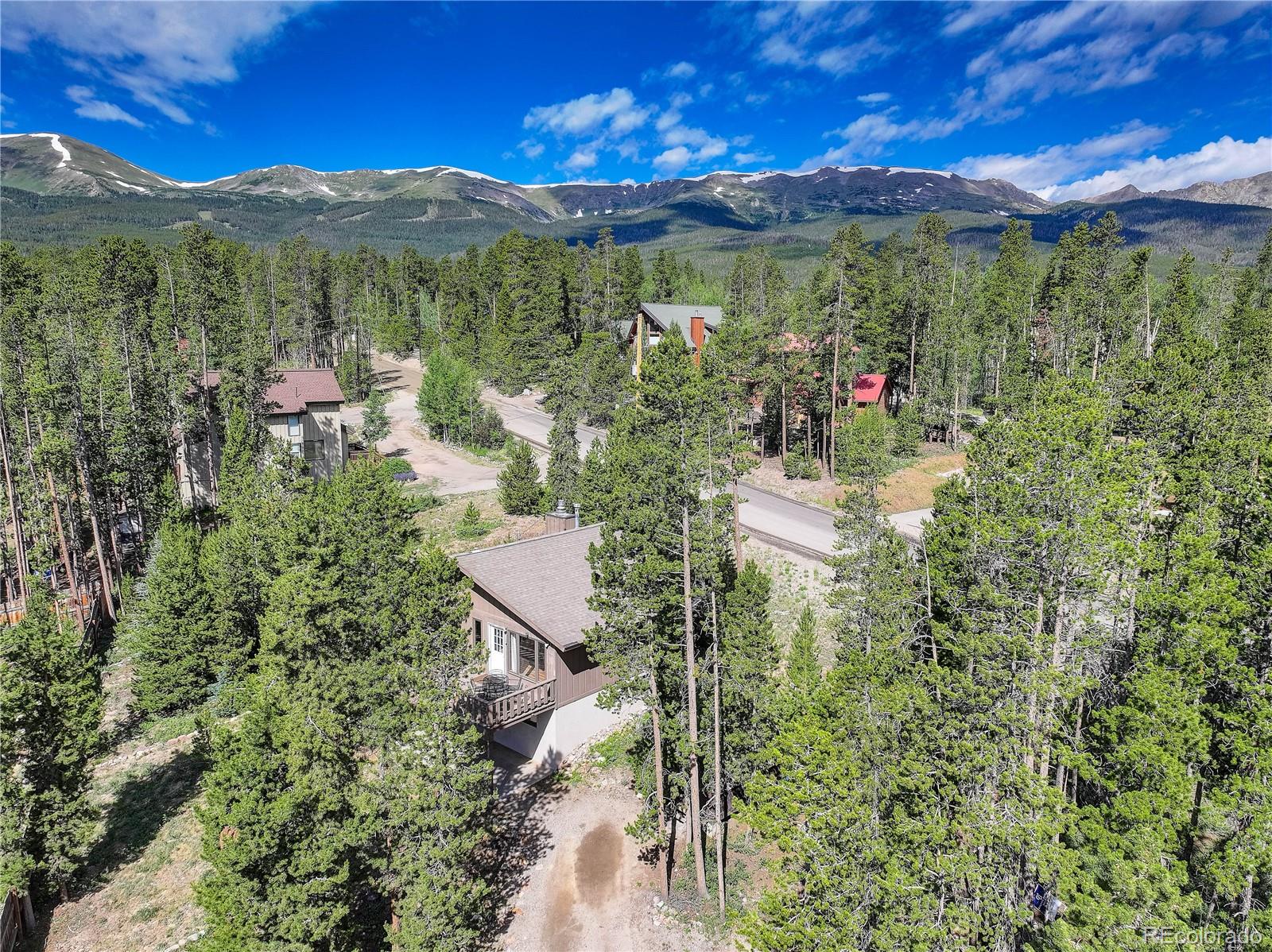 MLS Image #32 for 24  ski pole ,breckenridge, Colorado