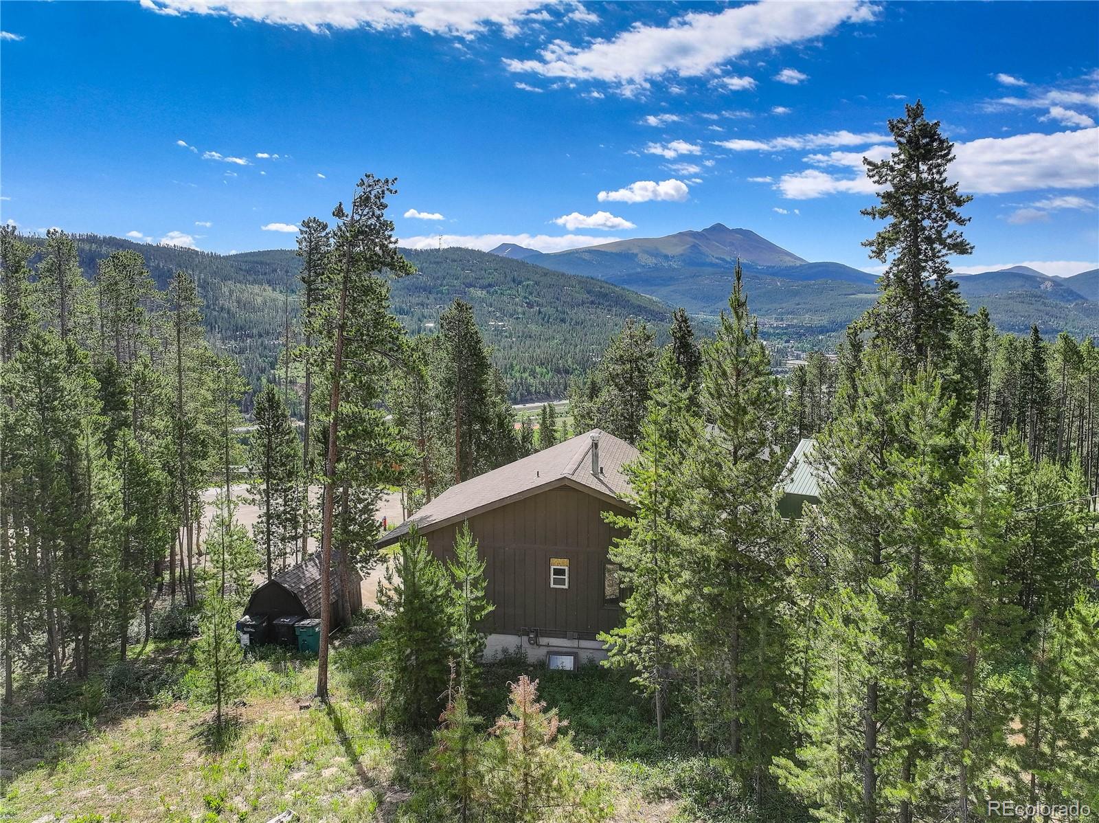 MLS Image #37 for 24  ski pole ,breckenridge, Colorado