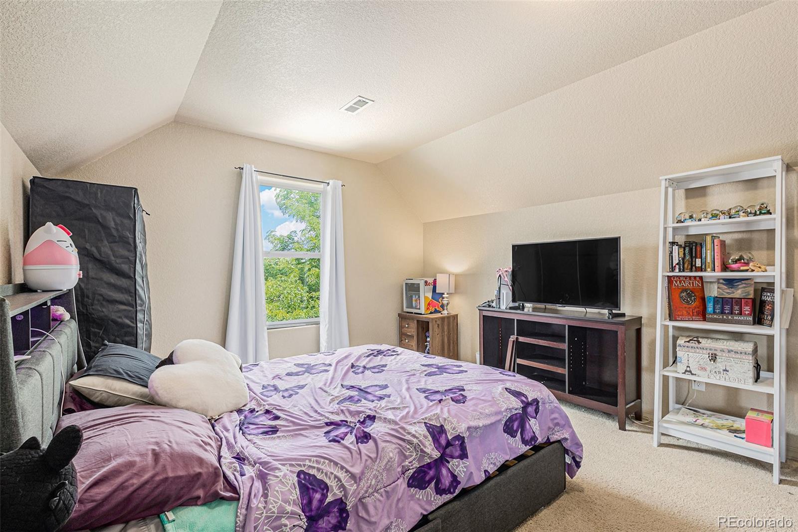 MLS Image #25 for 9455  sand myrtle drive,colorado springs, Colorado