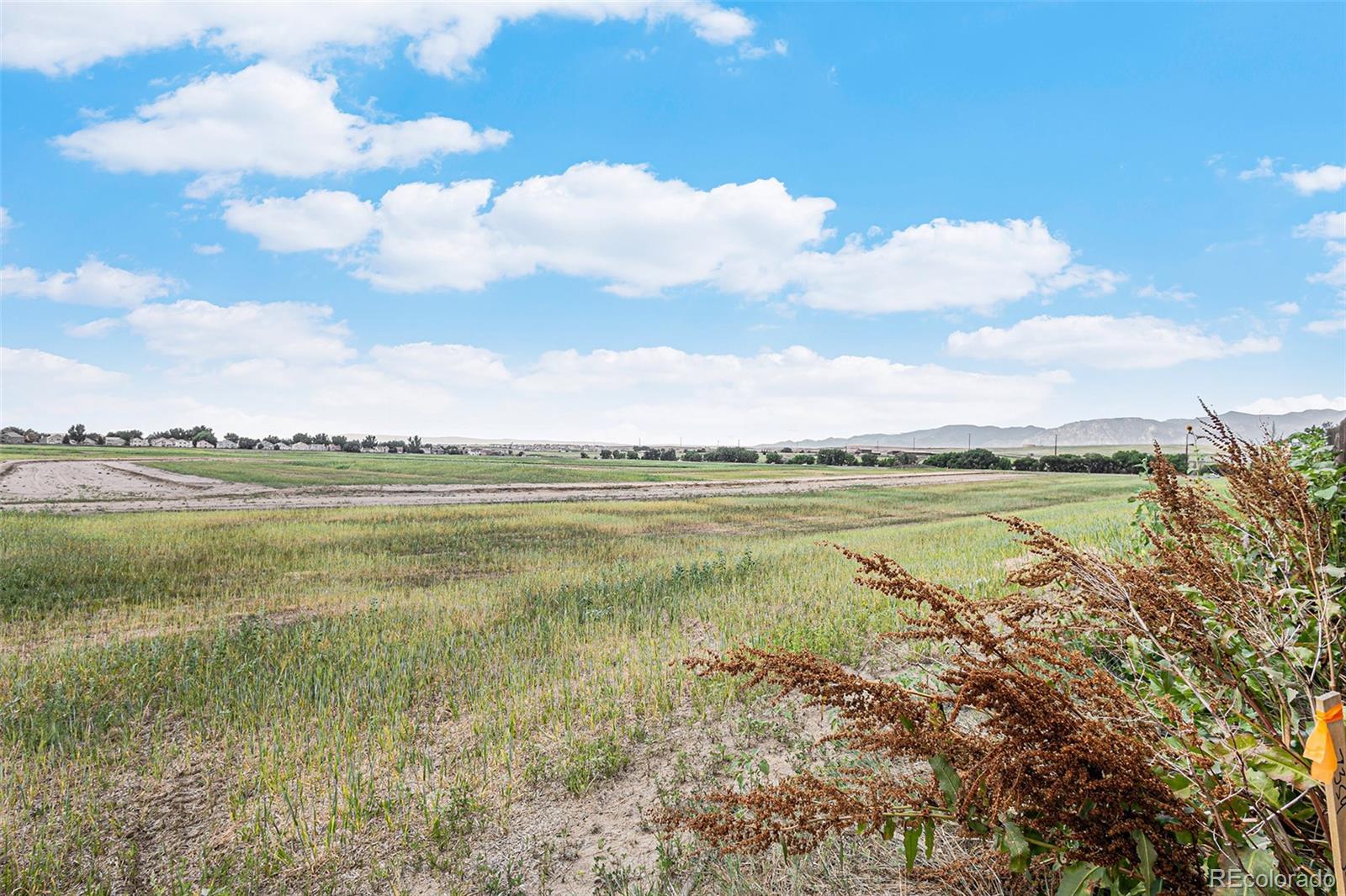MLS Image #27 for 9455  sand myrtle drive,colorado springs, Colorado