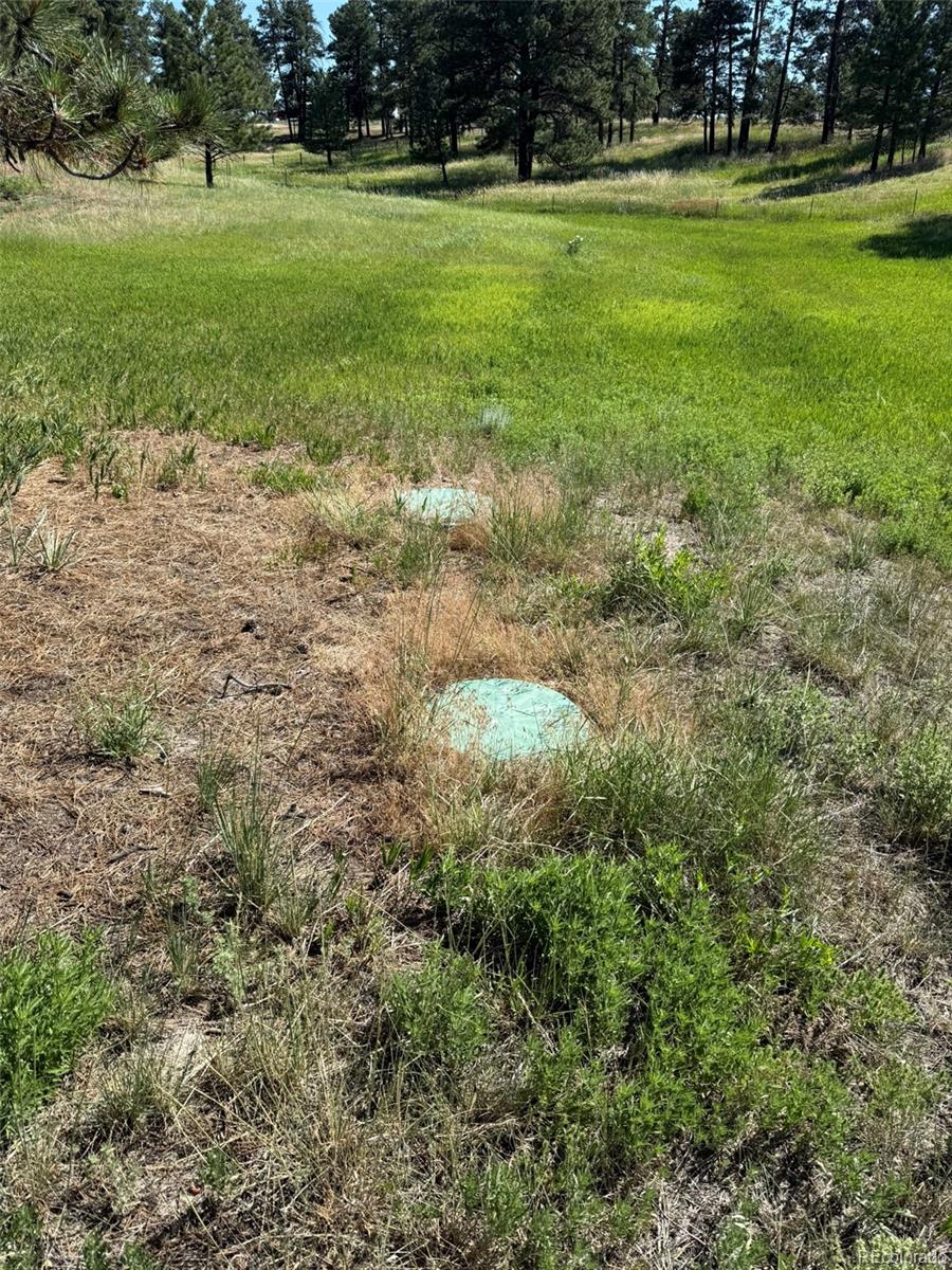 MLS Image #25 for 27627 e broadview drive,kiowa, Colorado
