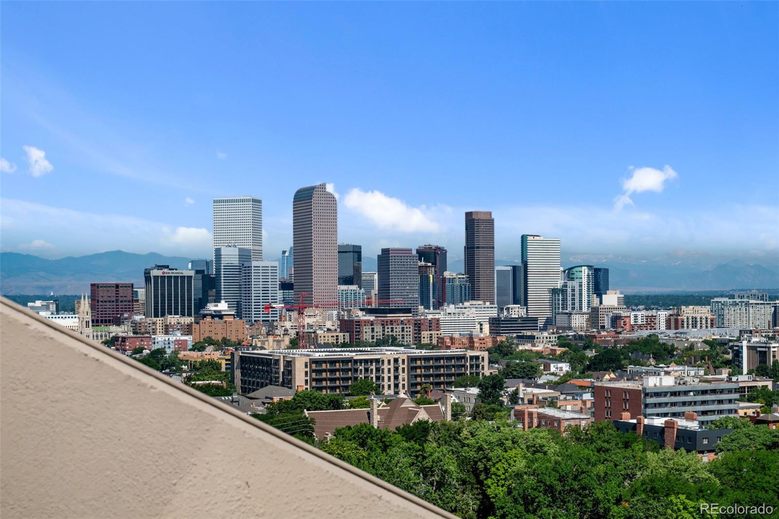 MLS Image #5 for 1313 n williams street,denver, Colorado