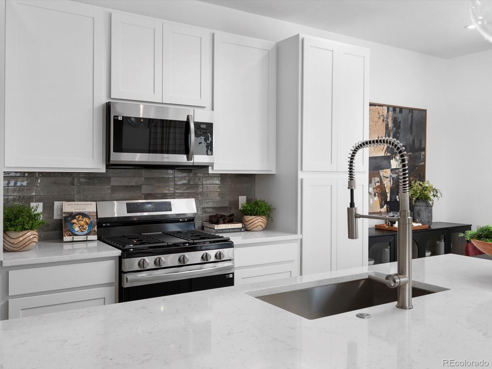 MLS Image #10 for 11950  soprano trail,lone tree, Colorado