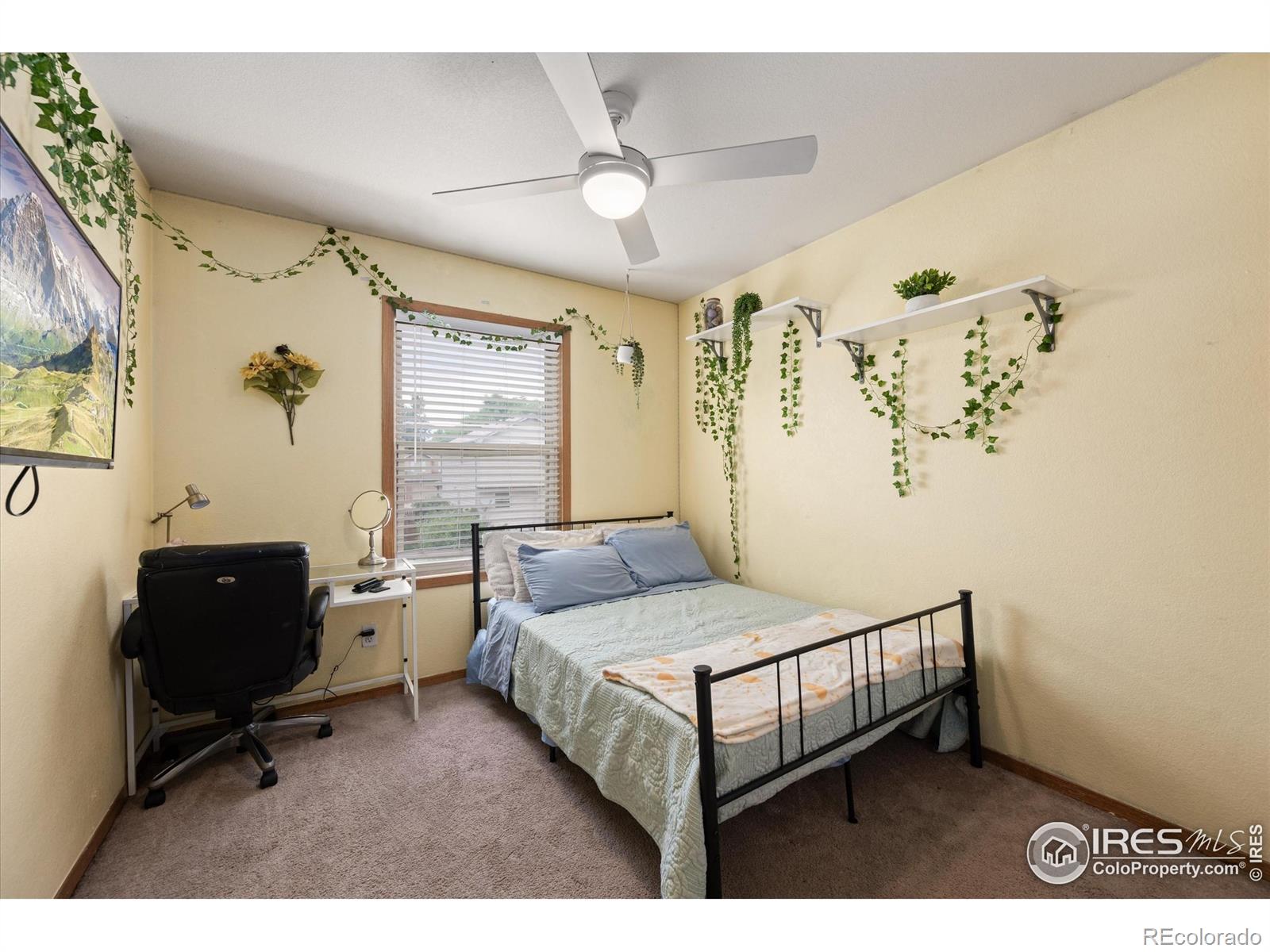 MLS Image #17 for 3891  jefferson drive,loveland, Colorado