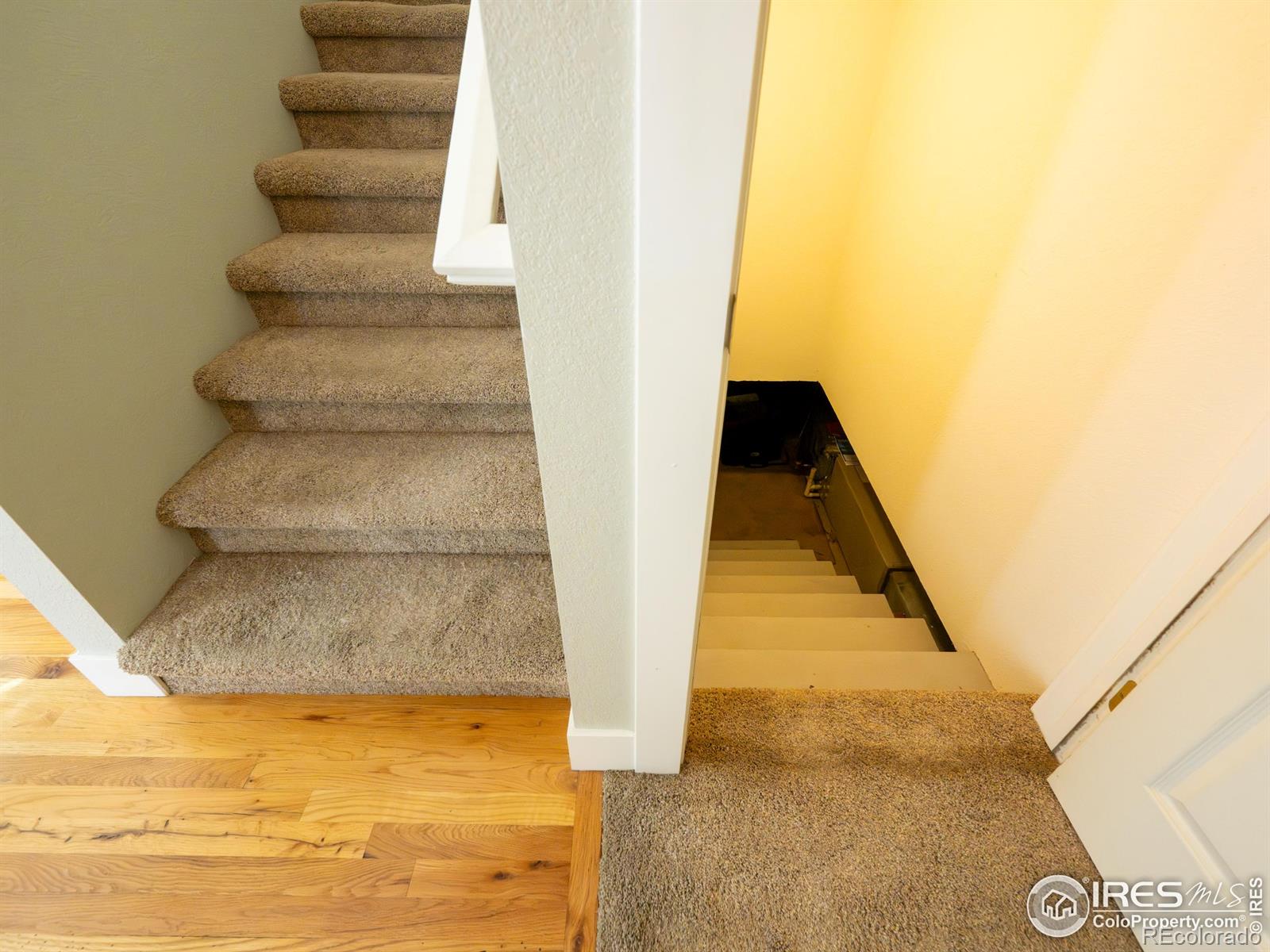 MLS Image #13 for 4085  buffalo mountain drive,loveland, Colorado